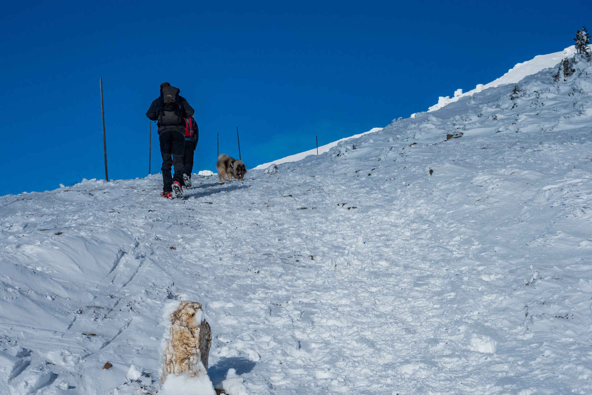 Kráľova hoľa zo Šumiaca (Nízke Tatry)