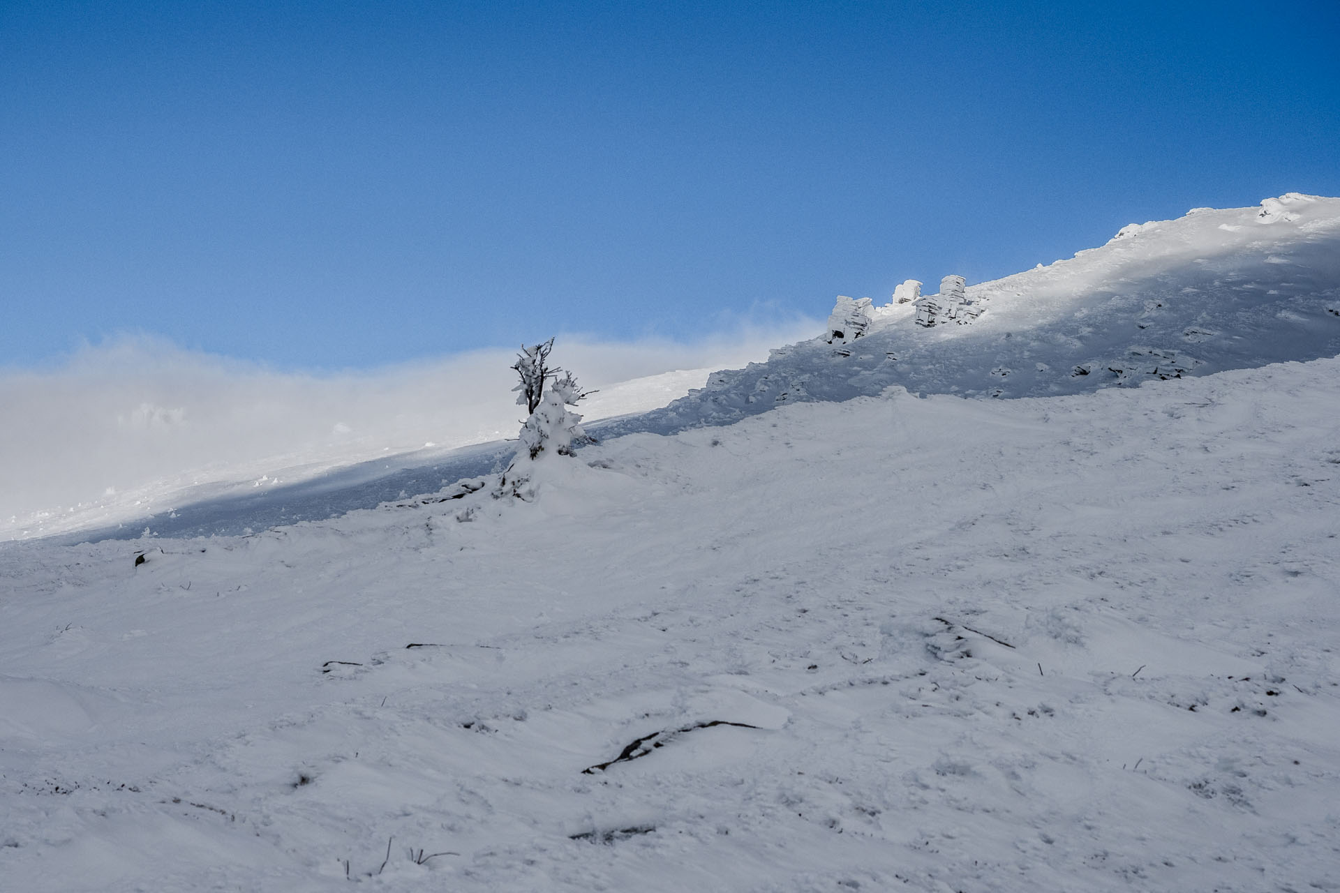 Kráľova hoľa zo Šumiaca (Nízke Tatry)