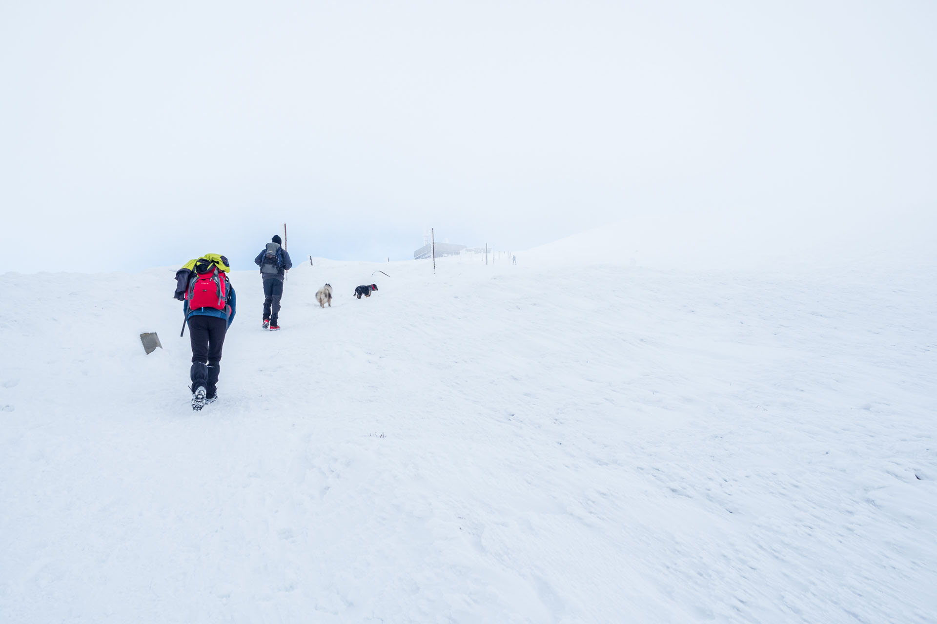 Kráľova hoľa zo Šumiaca (Nízke Tatry)