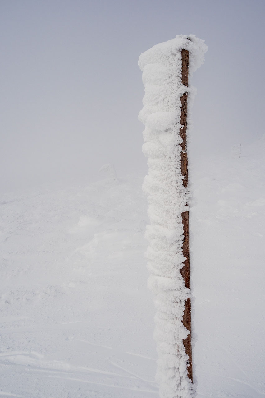 Kráľova hoľa zo Šumiaca (Nízke Tatry)