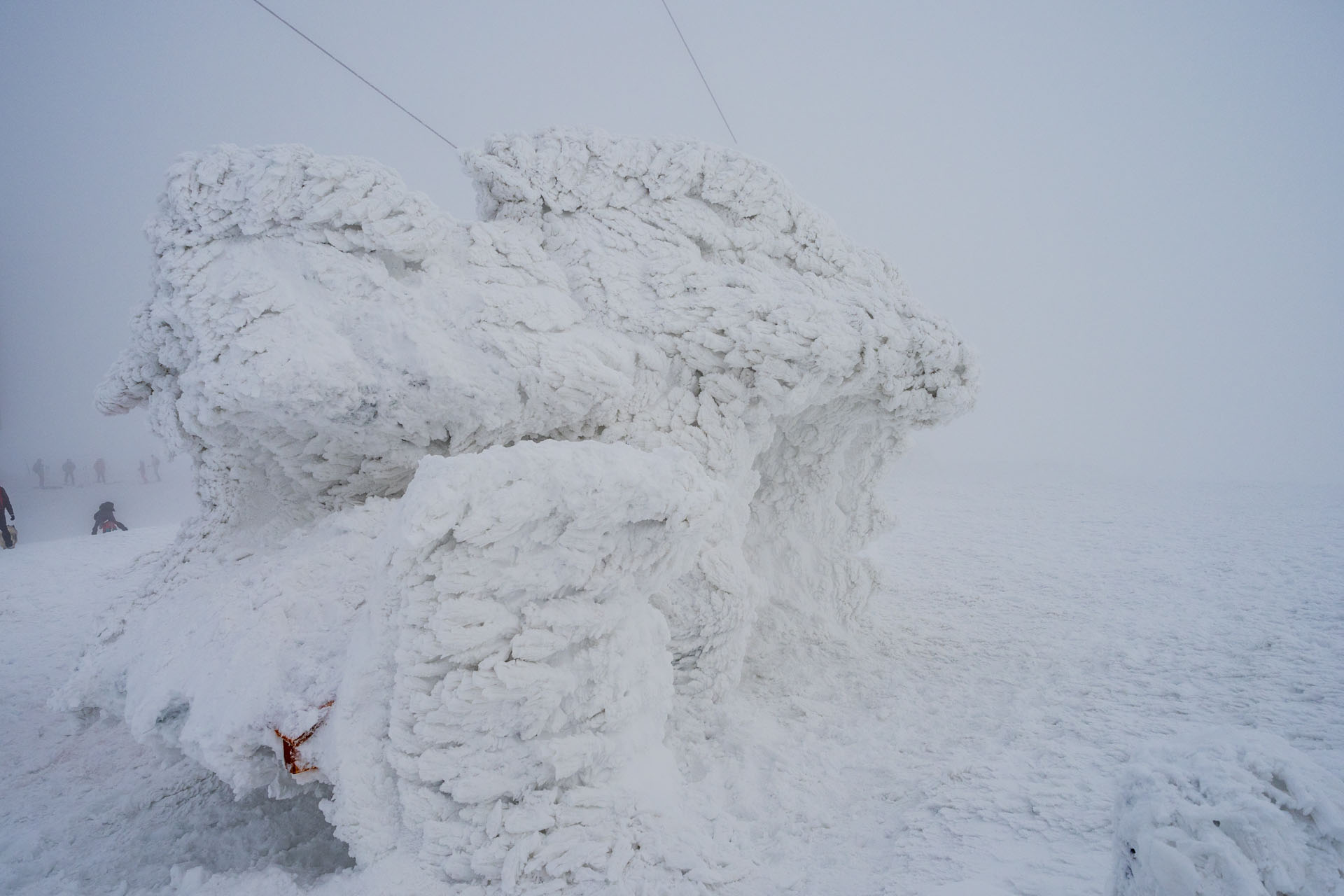 Kráľova hoľa zo Šumiaca (Nízke Tatry)