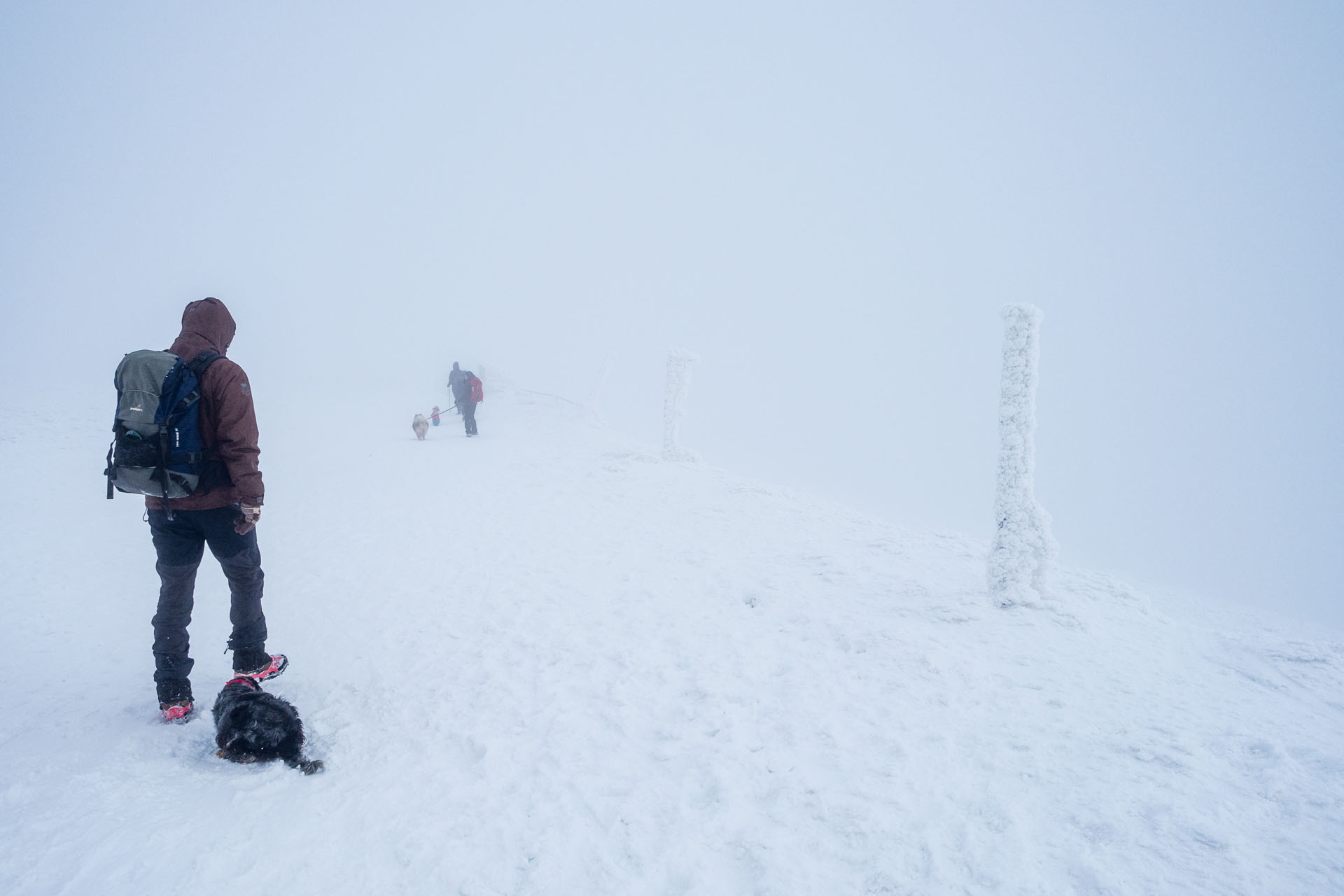 Kráľova hoľa zo Šumiaca (Nízke Tatry)