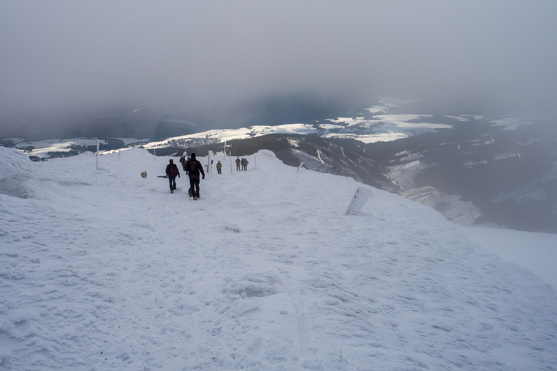 Kráľova hoľa zo Šumiaca (Nízke Tatry)