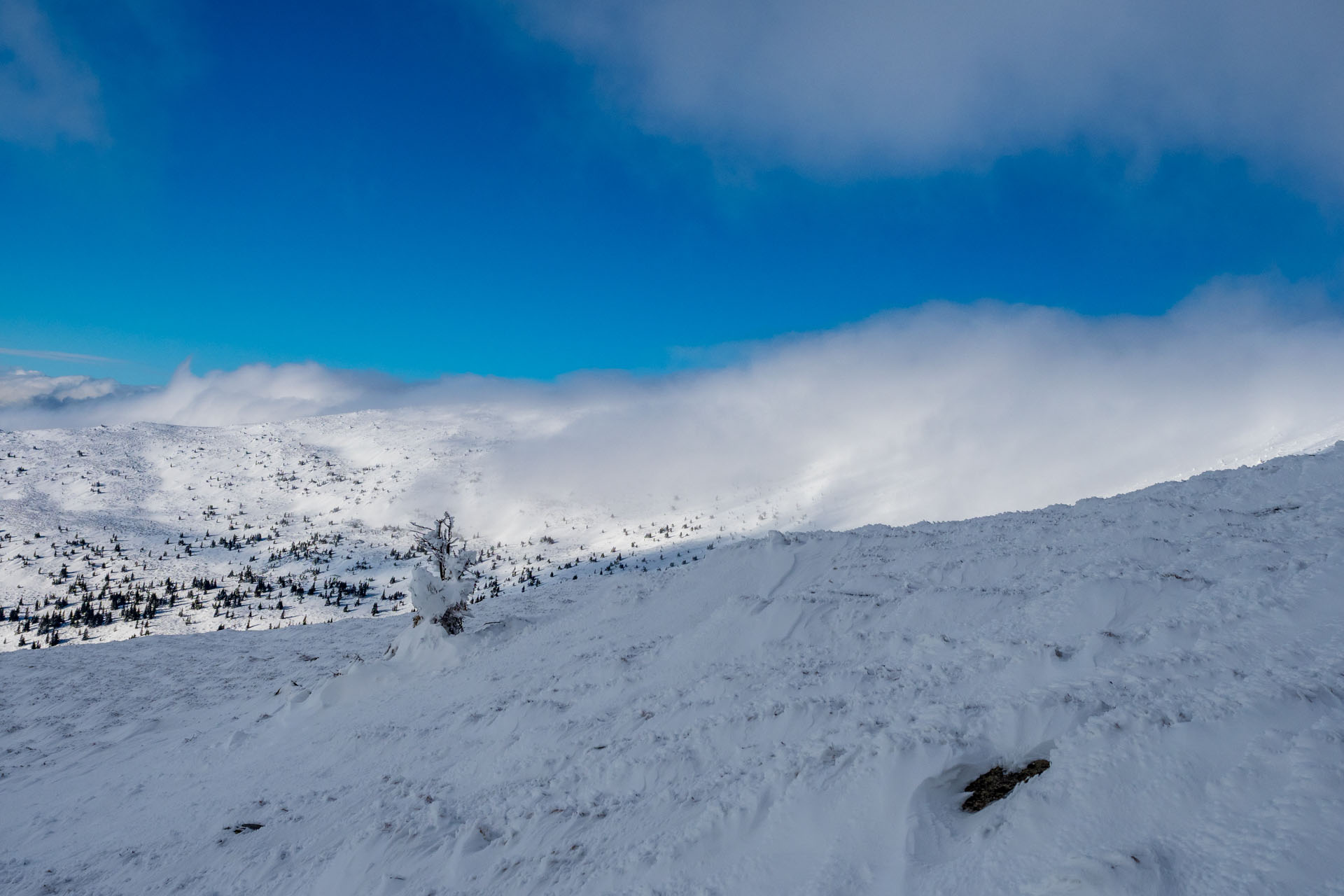 Kráľova hoľa zo Šumiaca (Nízke Tatry)