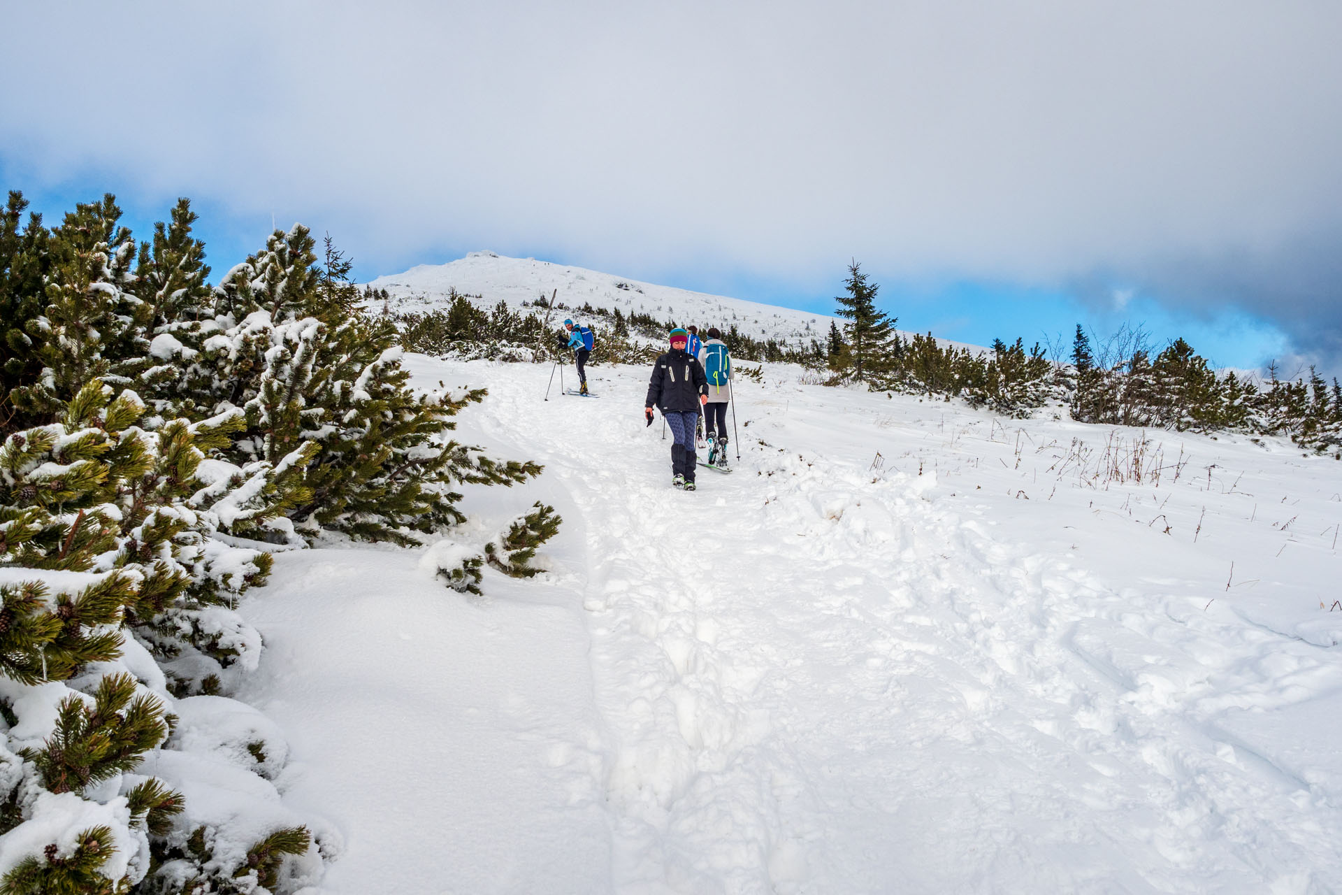 Kráľova hoľa zo Šumiaca (Nízke Tatry)