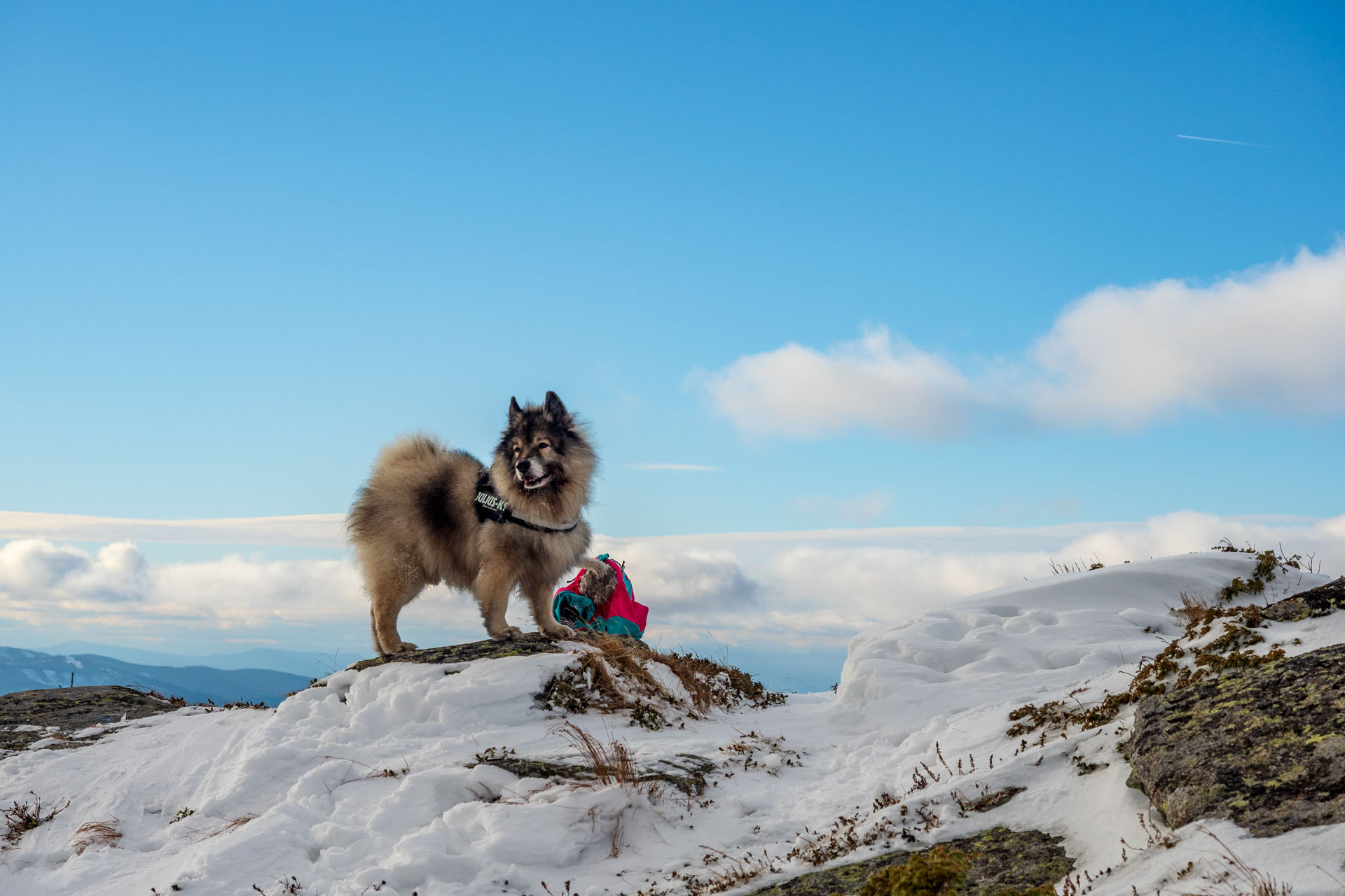 Kráľova hoľa zo Šumiaca (Nízke Tatry)