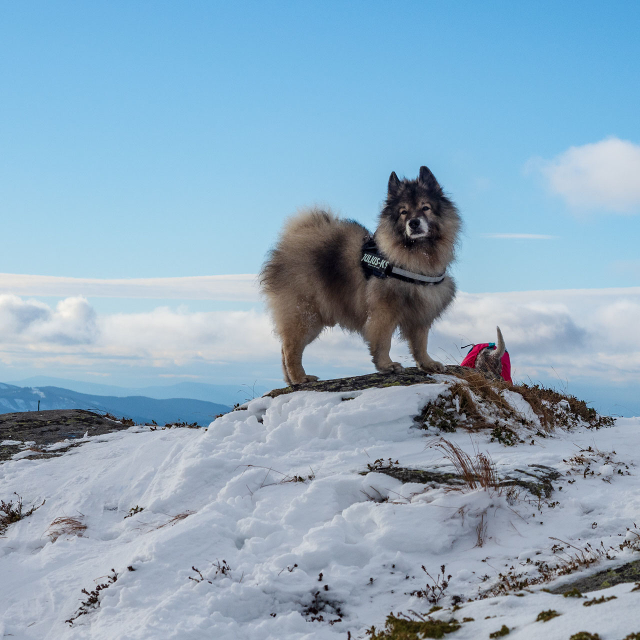 Kráľova hoľa zo Šumiaca (Nízke Tatry)