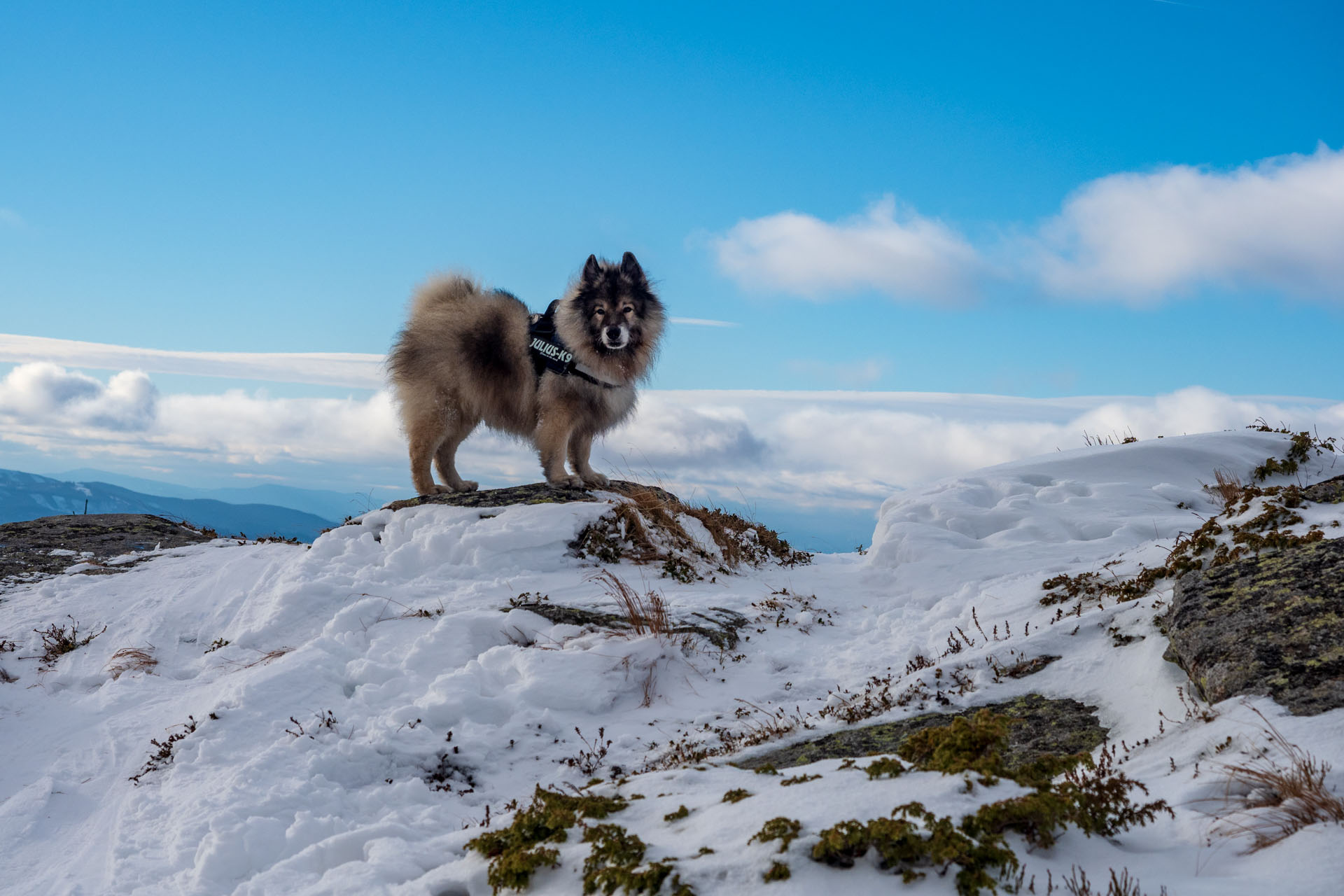 Kráľova hoľa zo Šumiaca (Nízke Tatry)