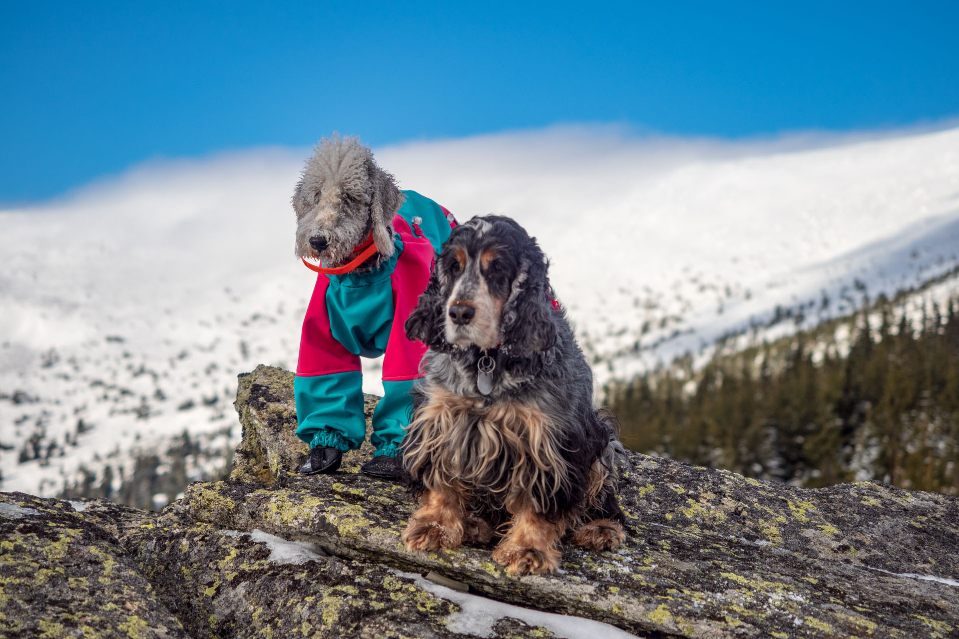 Kráľova hoľa zo Šumiaca (Nízke Tatry)