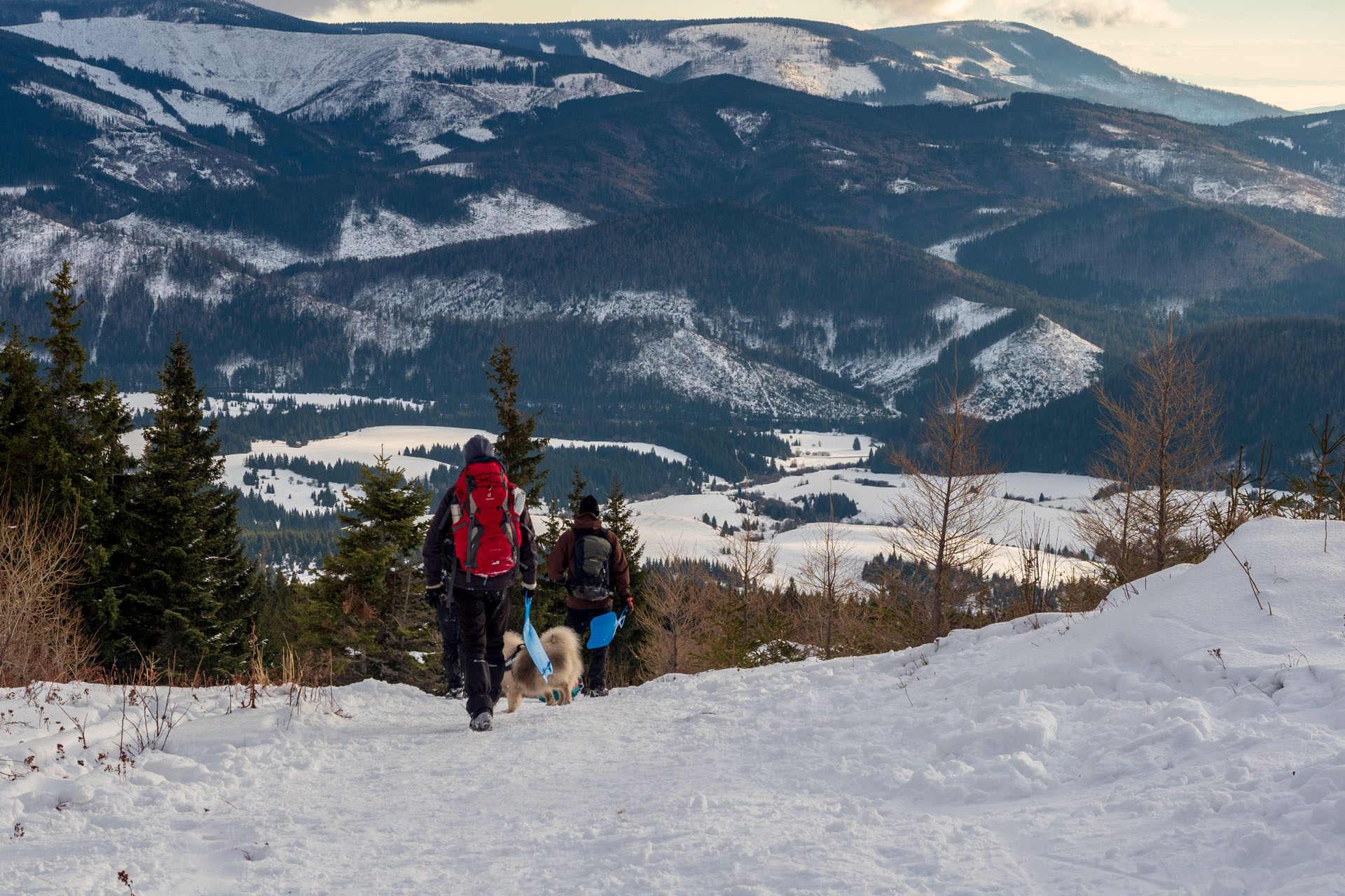 Kráľova hoľa zo Šumiaca (Nízke Tatry)