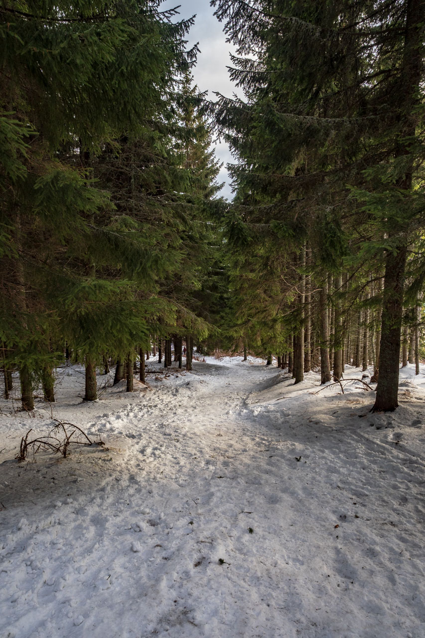 Kráľova hoľa zo Šumiaca (Nízke Tatry)