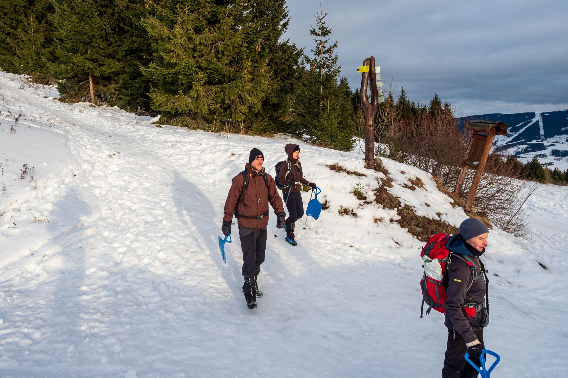 Kráľova hoľa zo Šumiaca (Nízke Tatry)