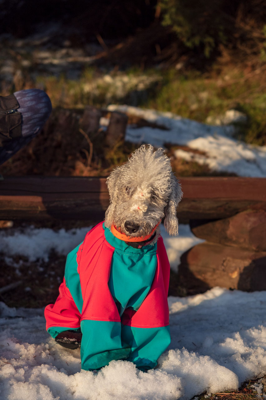 Kráľova hoľa zo Šumiaca (Nízke Tatry)