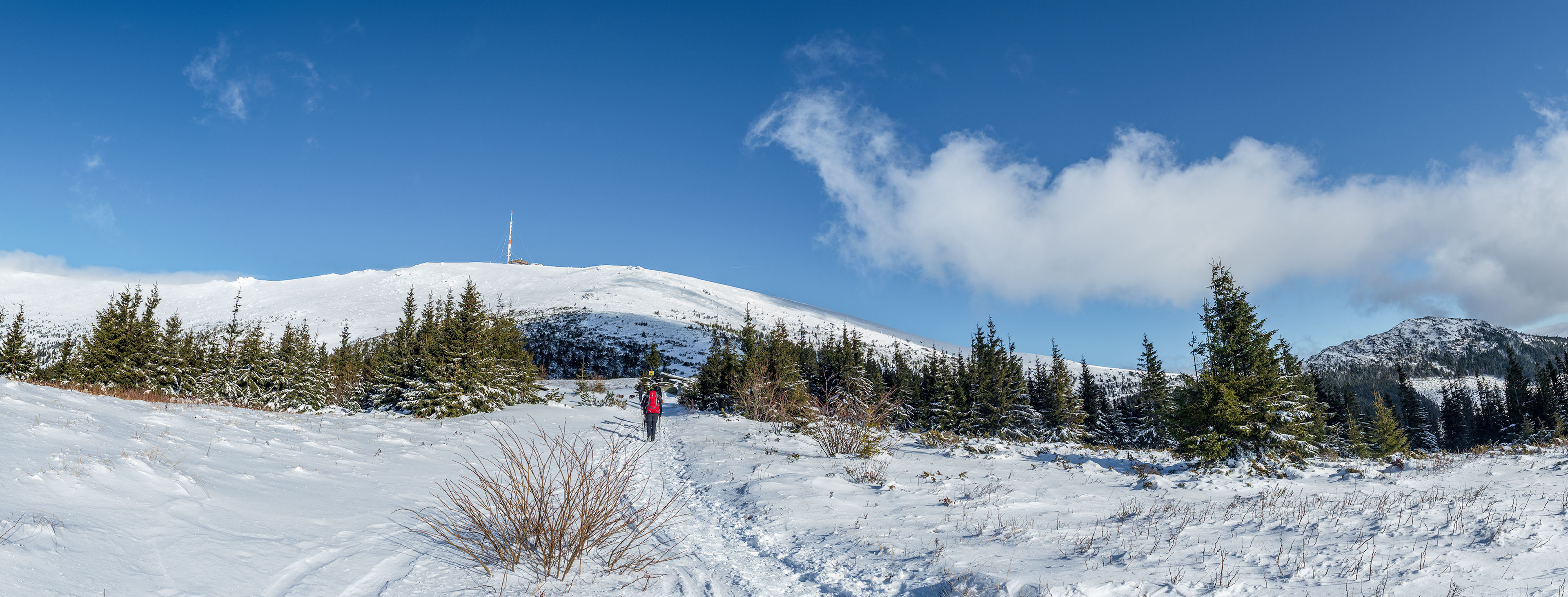 Kráľova hoľa zo Šumiaca (Nízke Tatry)