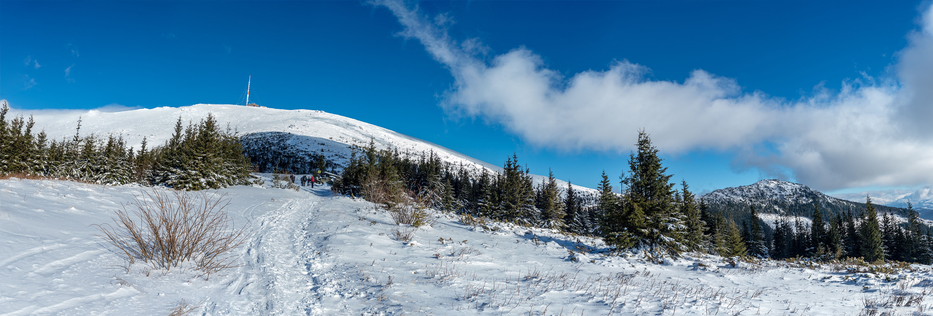 Kráľova hoľa zo Šumiaca (Nízke Tatry)