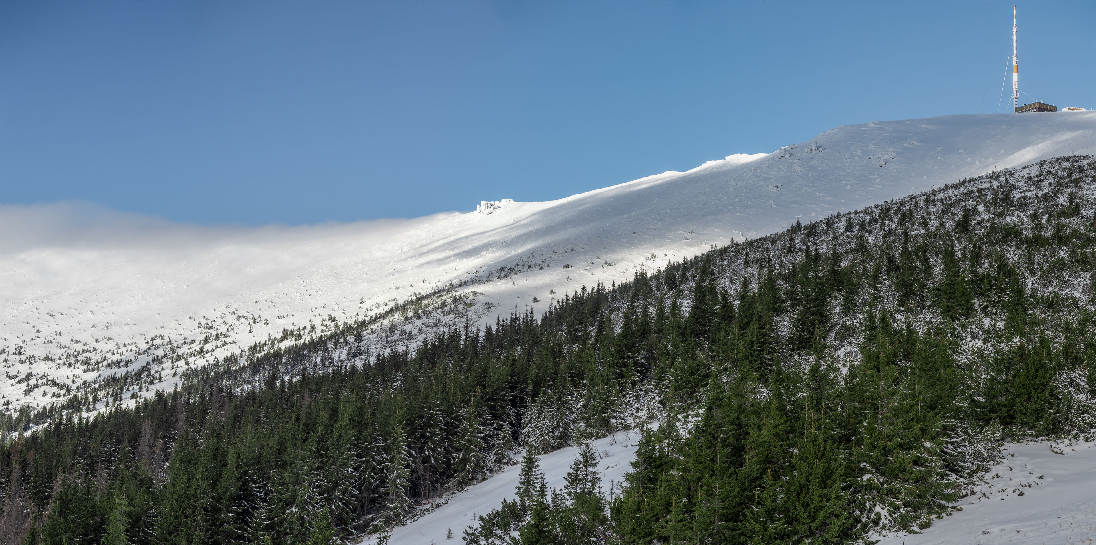 Kráľova hoľa zo Šumiaca (Nízke Tatry)