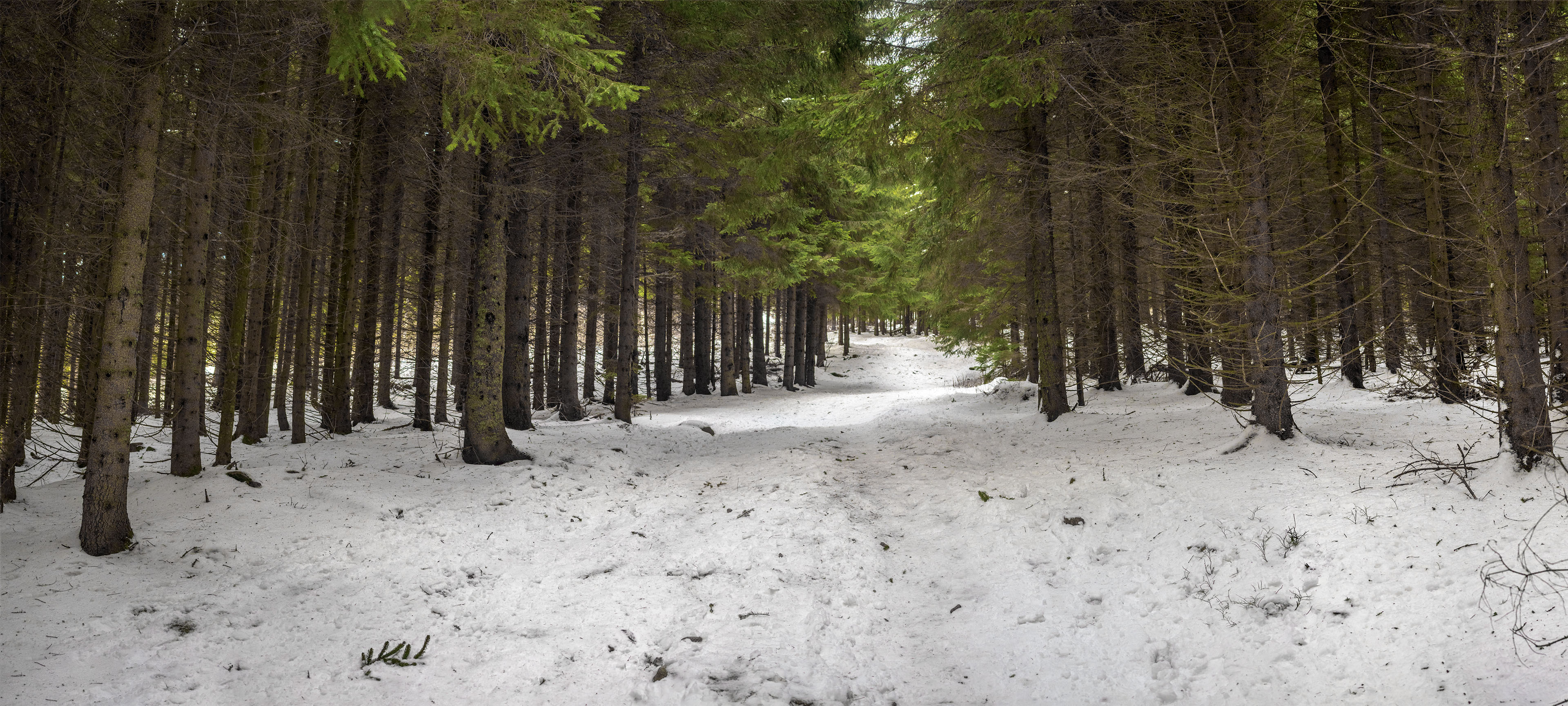 Kráľova hoľa zo Šumiaca (Nízke Tatry)