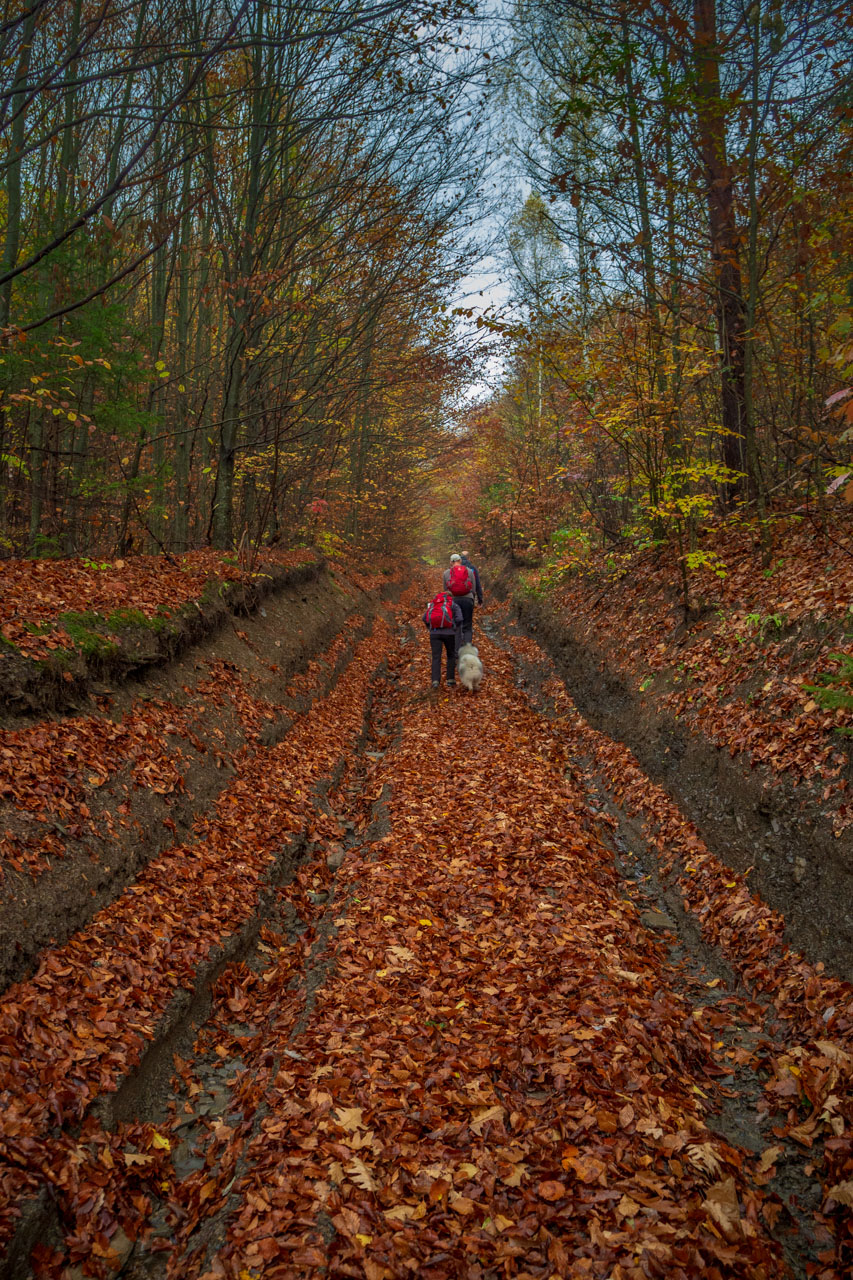 Kremenec z Novej Sedlice (Bukovské vrchy)