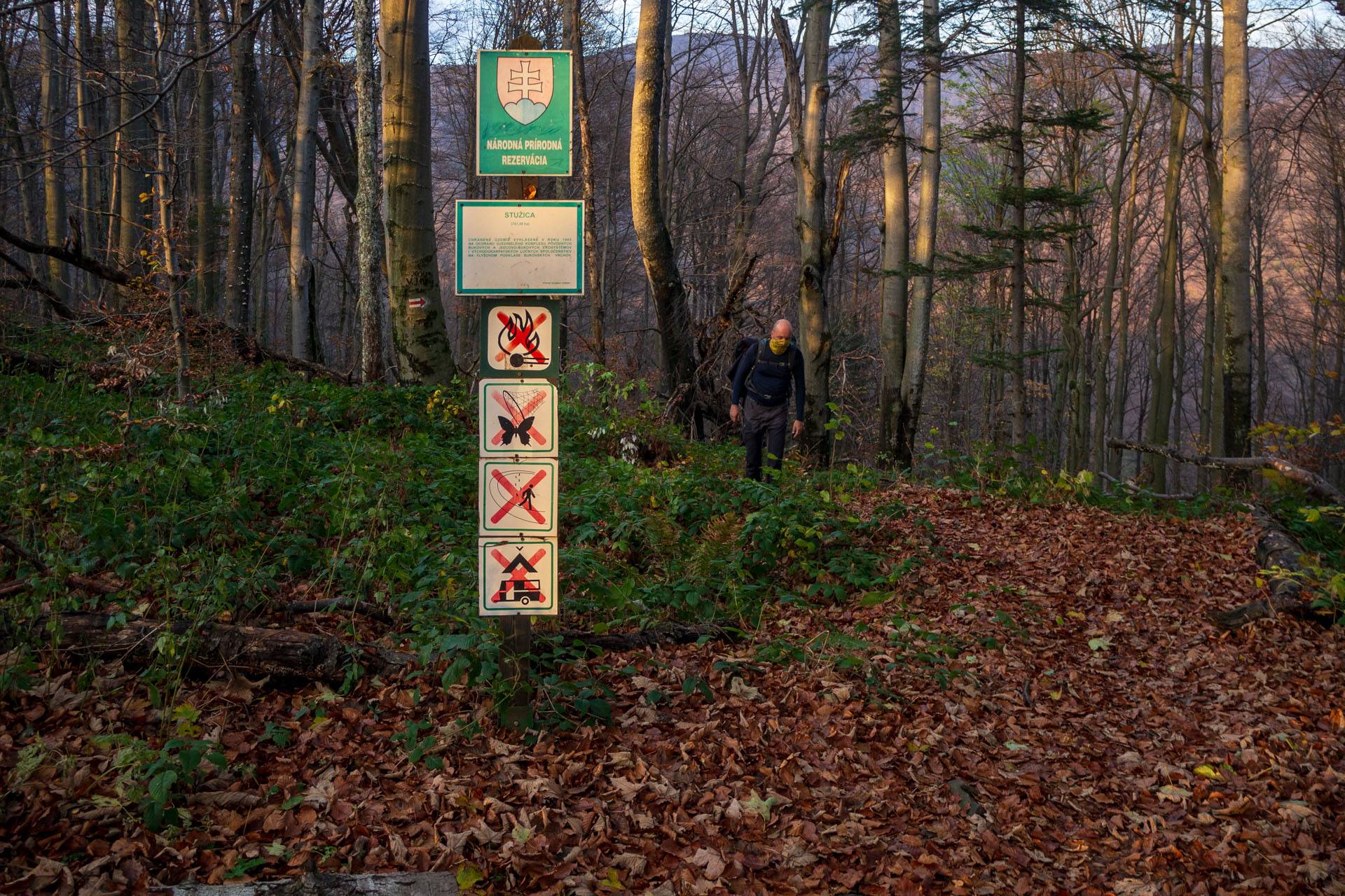 Kremenec z Novej Sedlice (Bukovské vrchy)