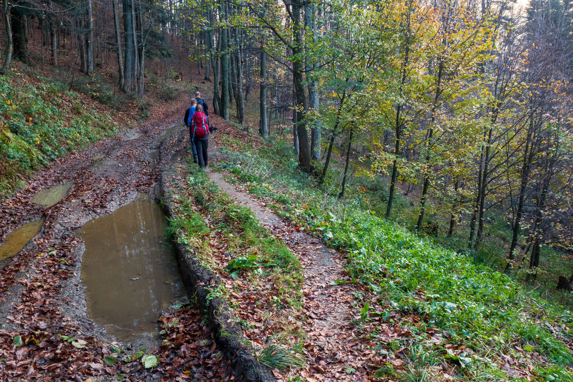 Kremenec z Novej Sedlice (Bukovské vrchy)