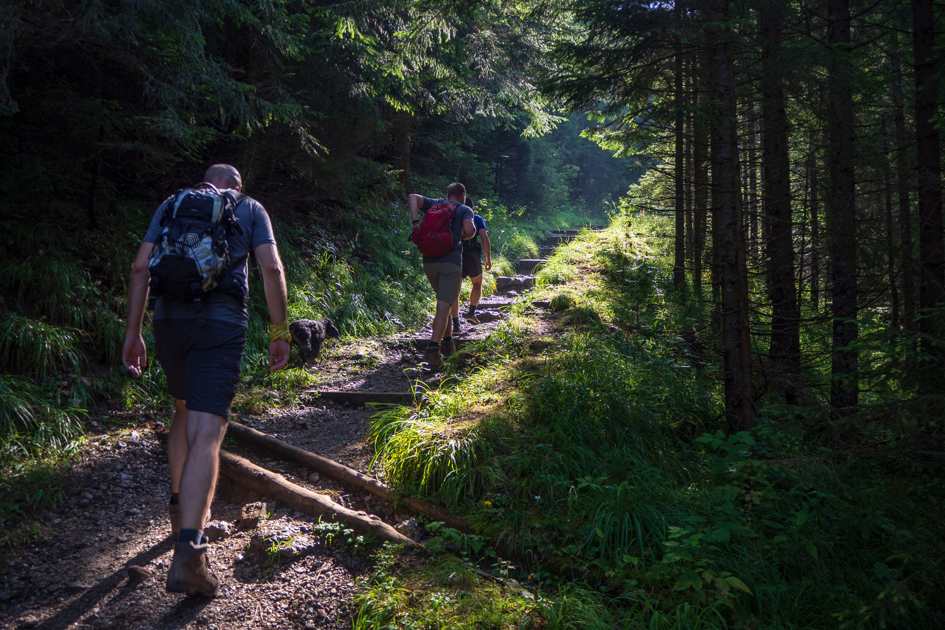 Małołączniak a Kopa Kondracka z Kiry (Západné Tatry)