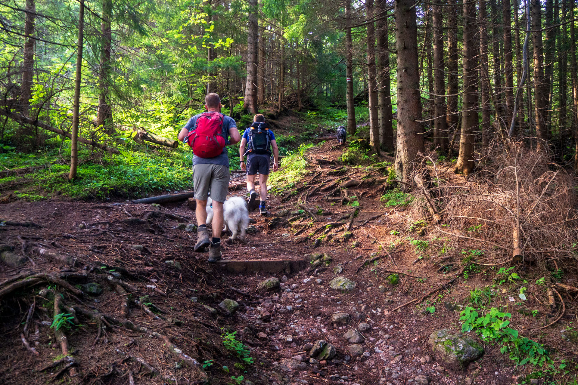 Małołączniak a Kopa Kondracka z Kiry (Západné Tatry)