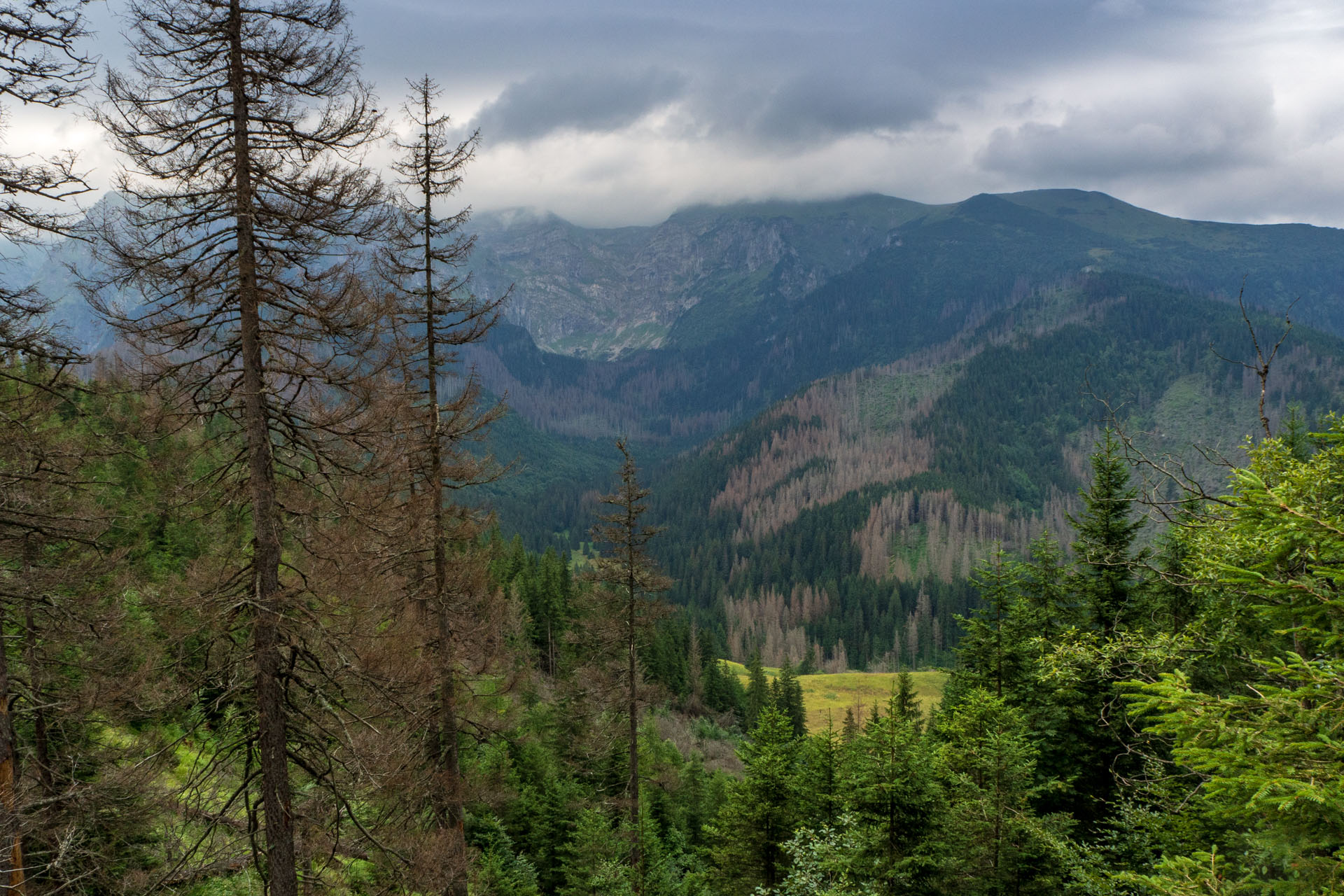 Małołączniak a Kopa Kondracka z Kiry (Západné Tatry)