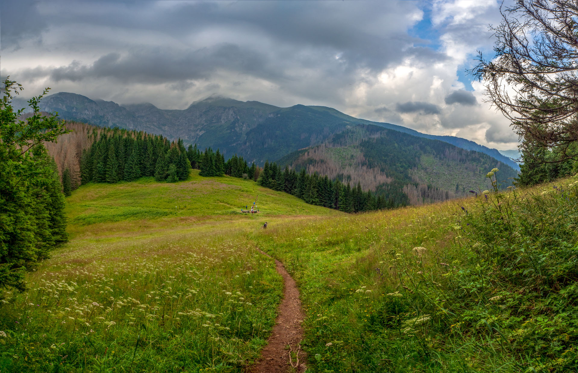 Małołączniak a Kopa Kondracka z Kiry (Západné Tatry)