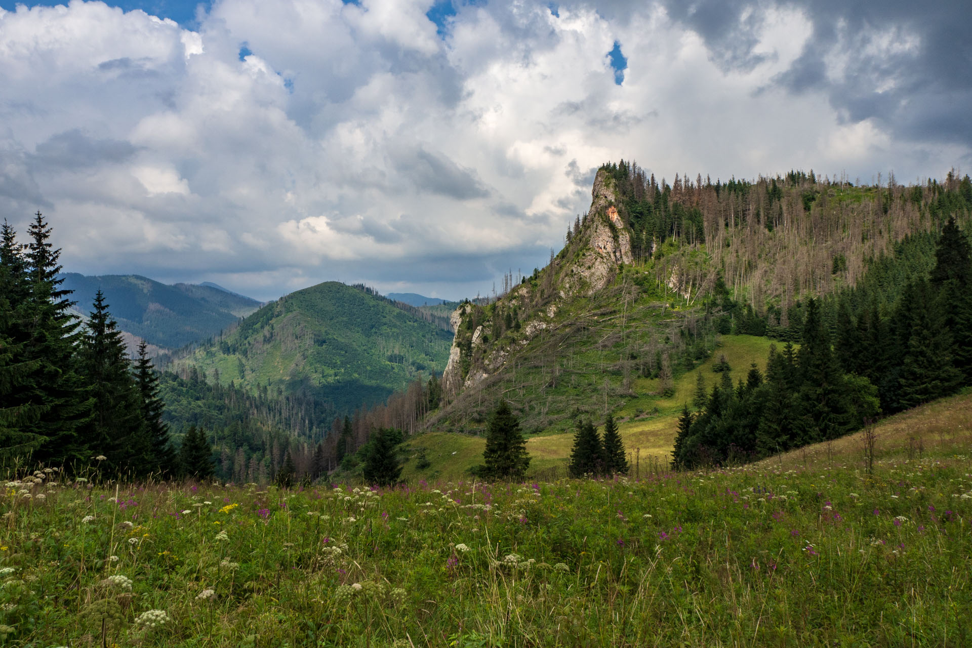 Małołączniak a Kopa Kondracka z Kiry (Západné Tatry)