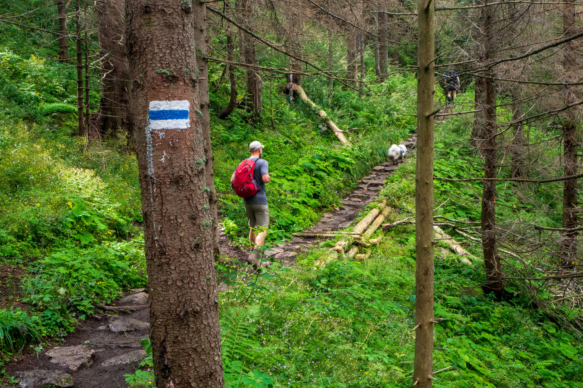 Małołączniak a Kopa Kondracka z Kiry (Západné Tatry)