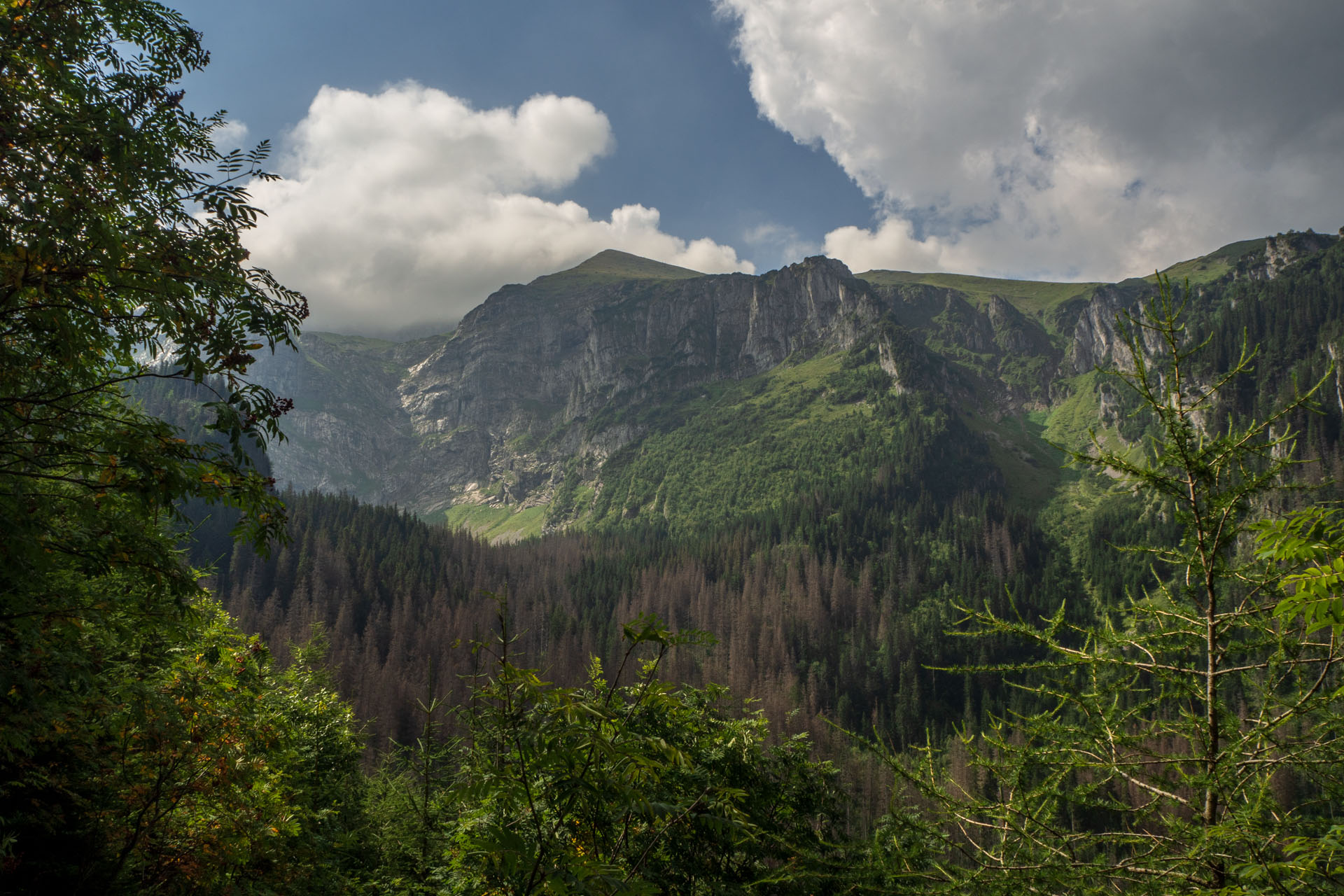 Małołączniak a Kopa Kondracka z Kiry (Západné Tatry)