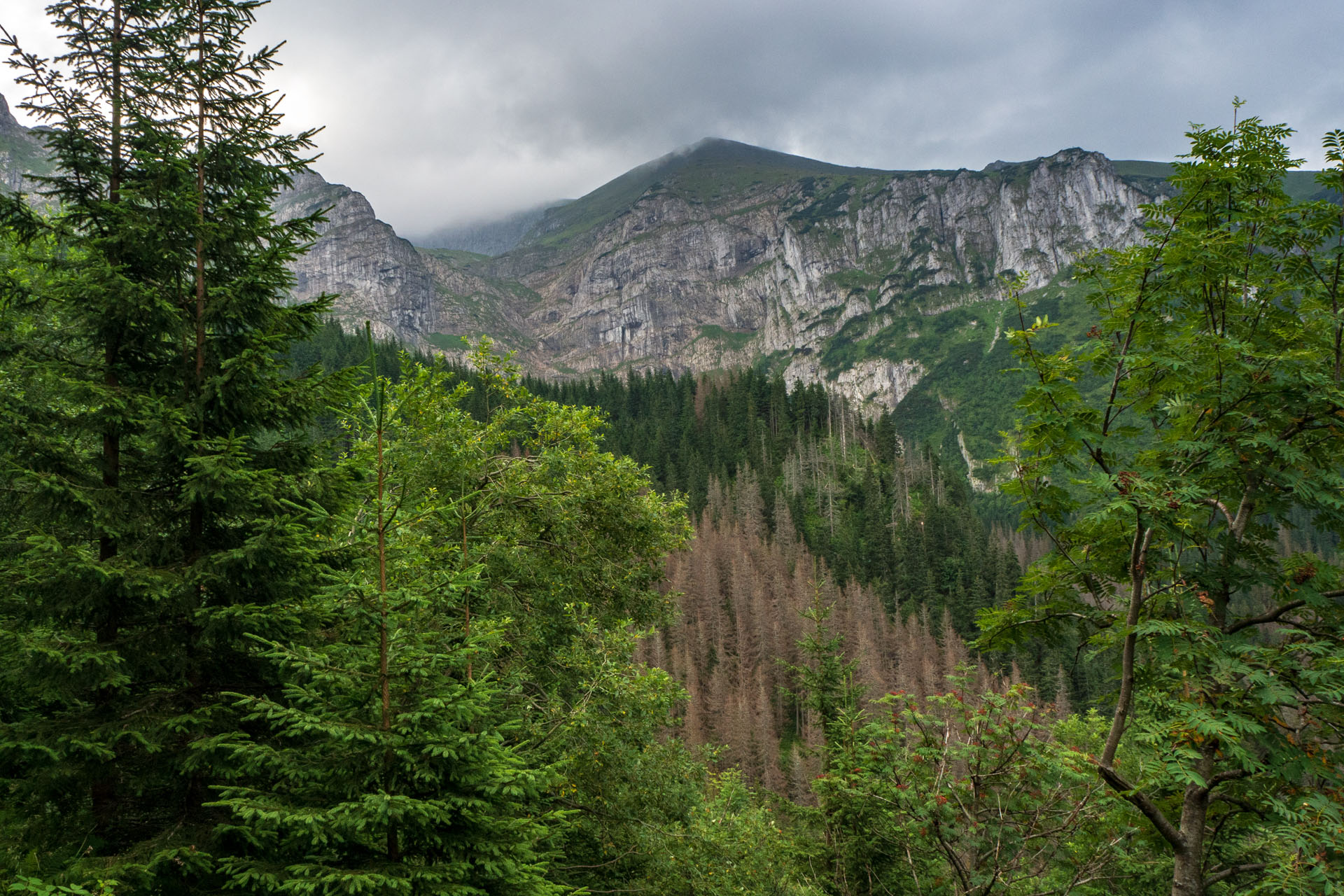 Małołączniak a Kopa Kondracka z Kiry (Západné Tatry)