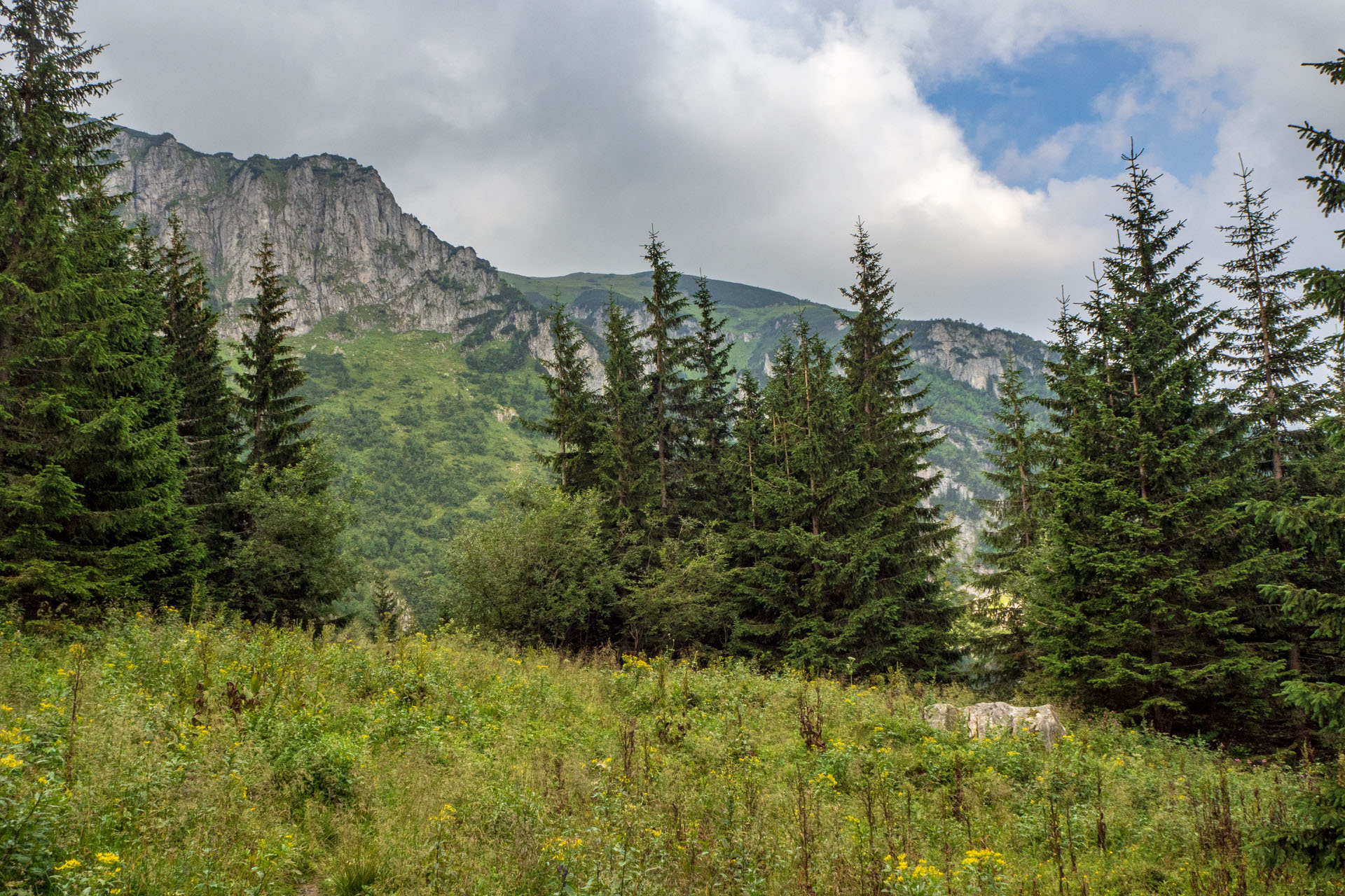 Małołączniak a Kopa Kondracka z Kiry (Západné Tatry)