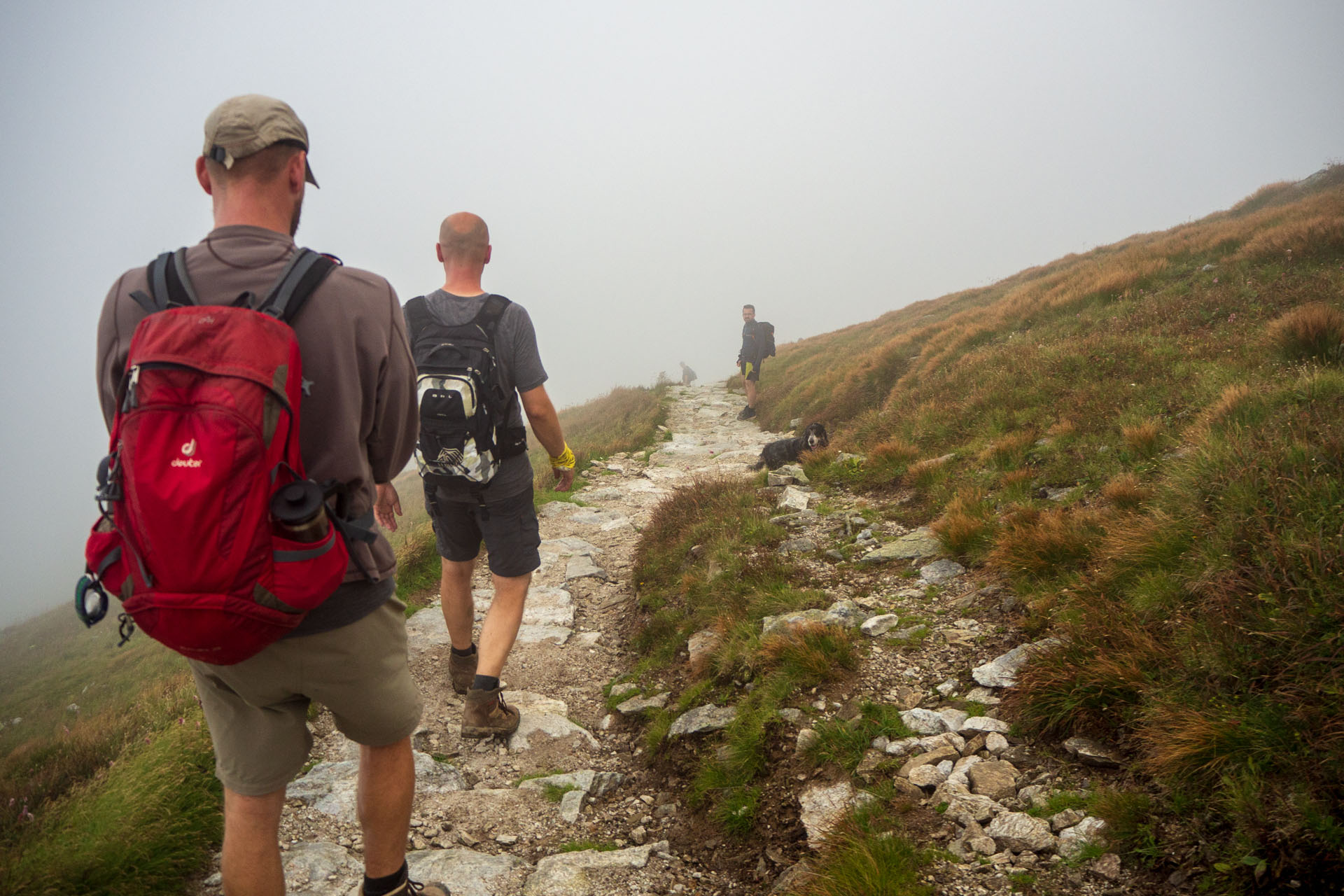 Małołączniak a Kopa Kondracka z Kiry (Západné Tatry)