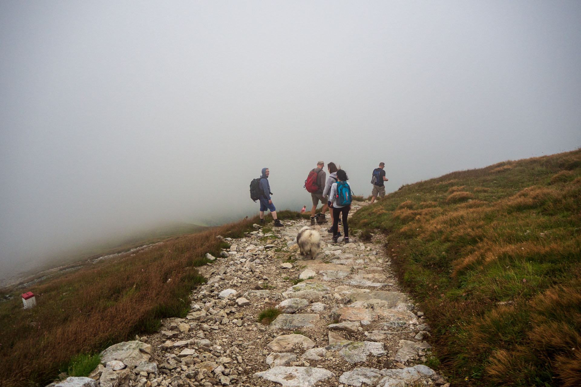 Małołączniak a Kopa Kondracka z Kiry (Západné Tatry)