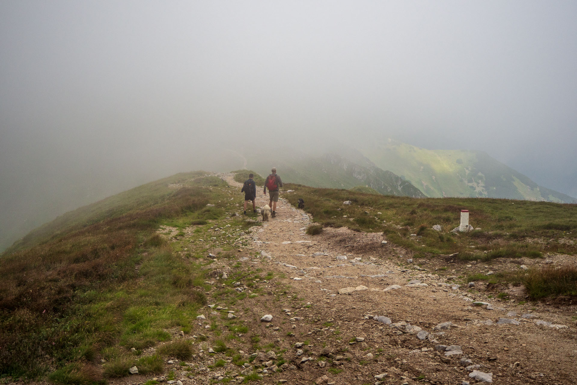 Małołączniak a Kopa Kondracka z Kiry (Západné Tatry)