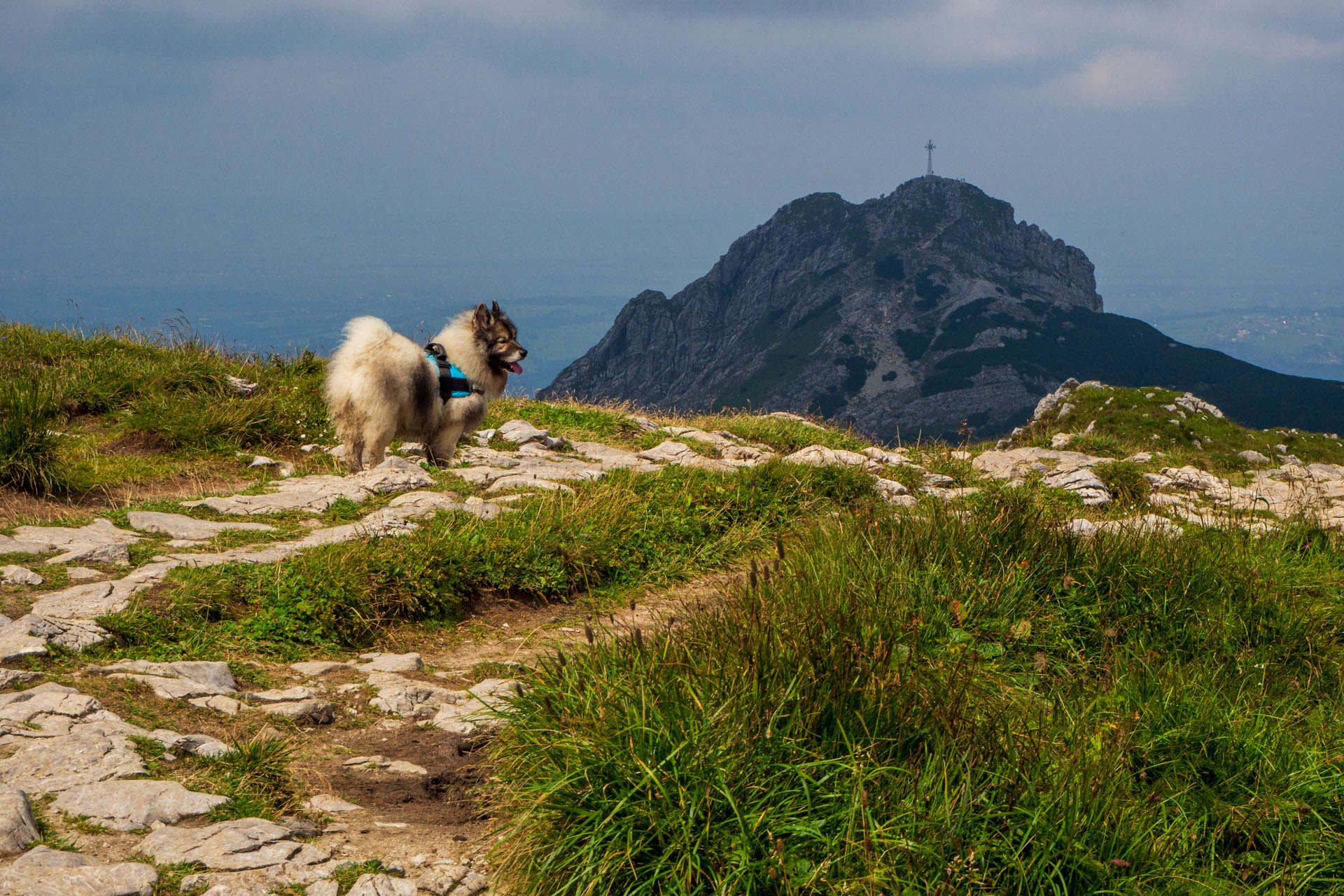 Małołączniak a Kopa Kondracka z Kiry (Západné Tatry)