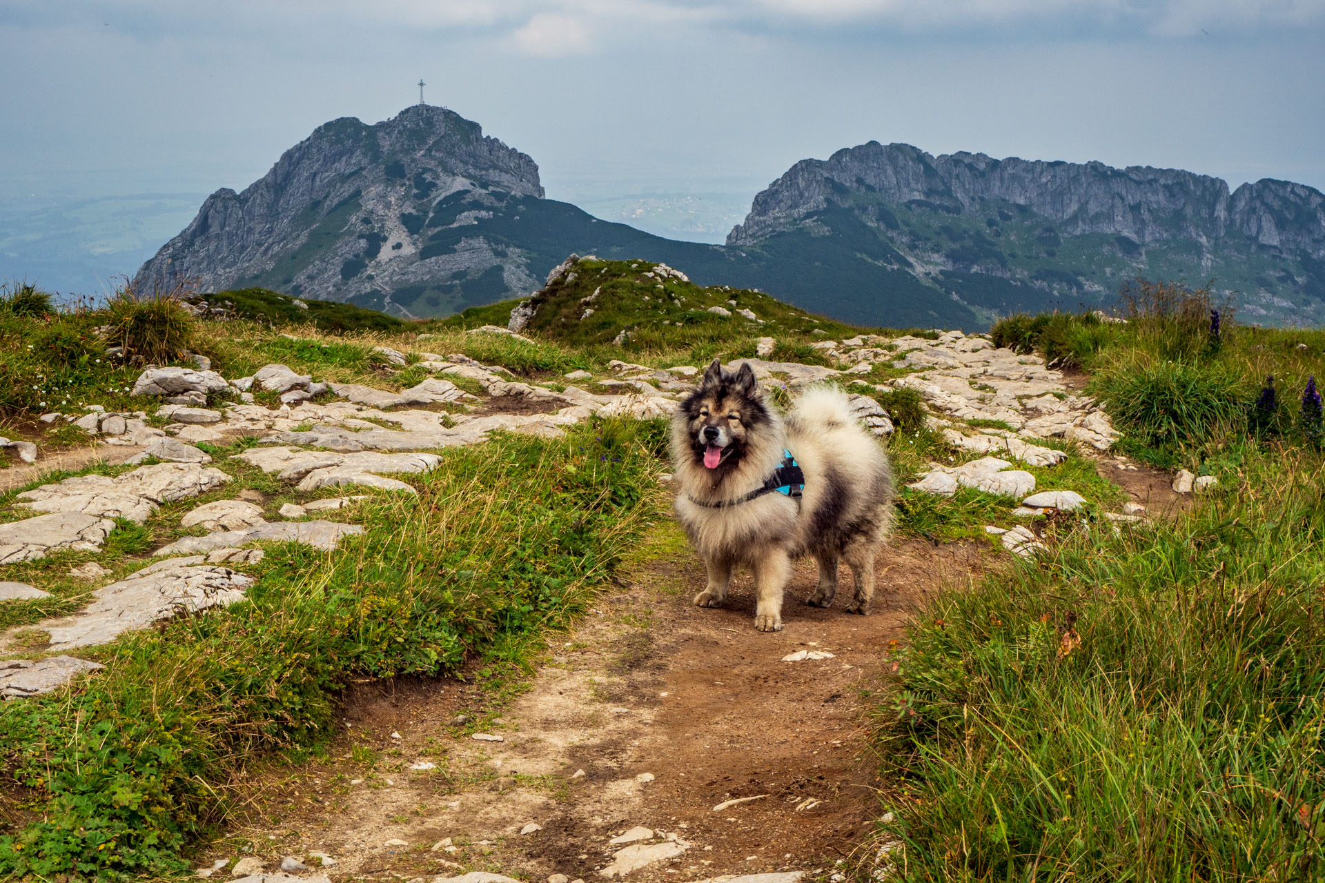 Małołączniak a Kopa Kondracka z Kiry (Západné Tatry)