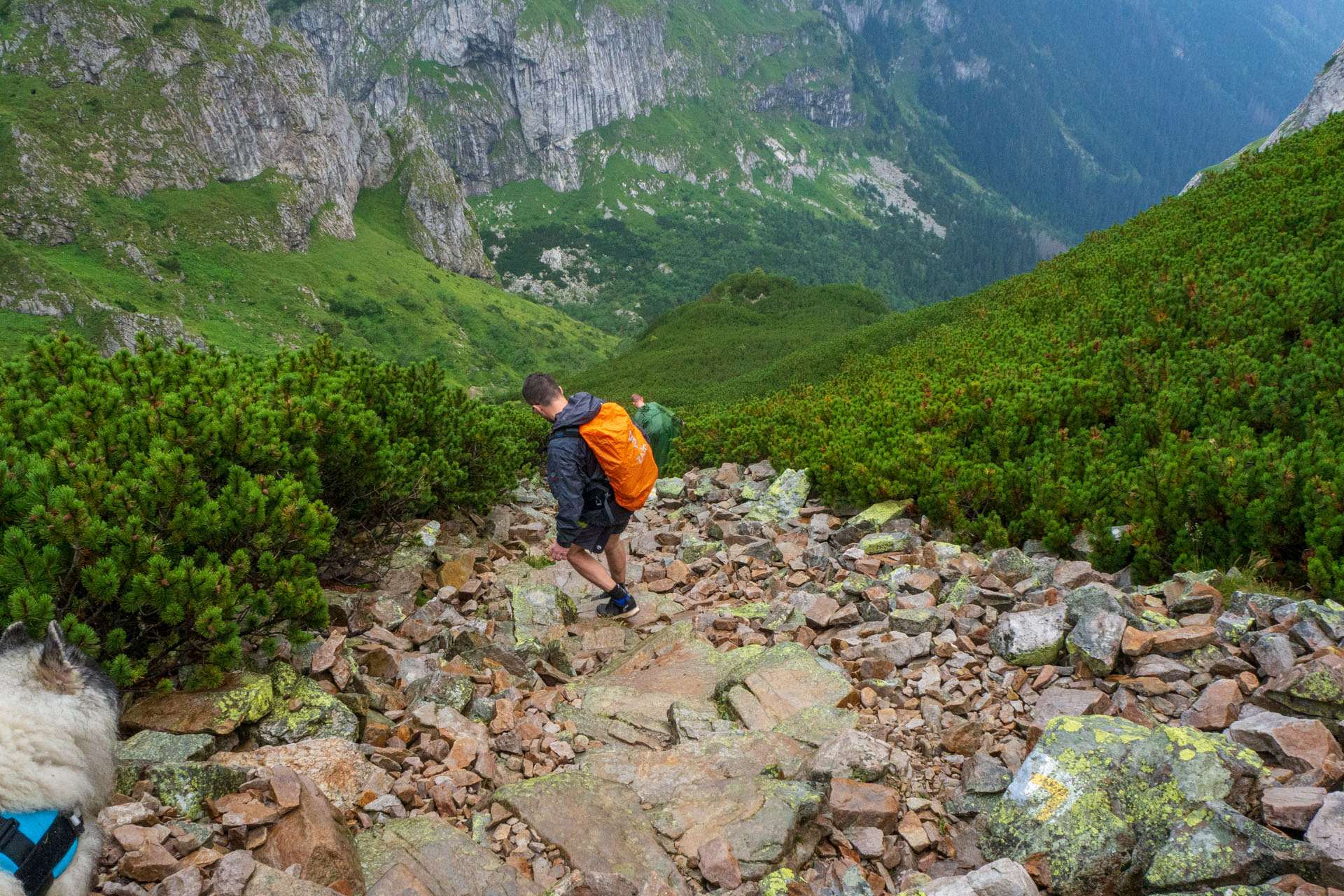 Małołączniak a Kopa Kondracka z Kiry (Západné Tatry)