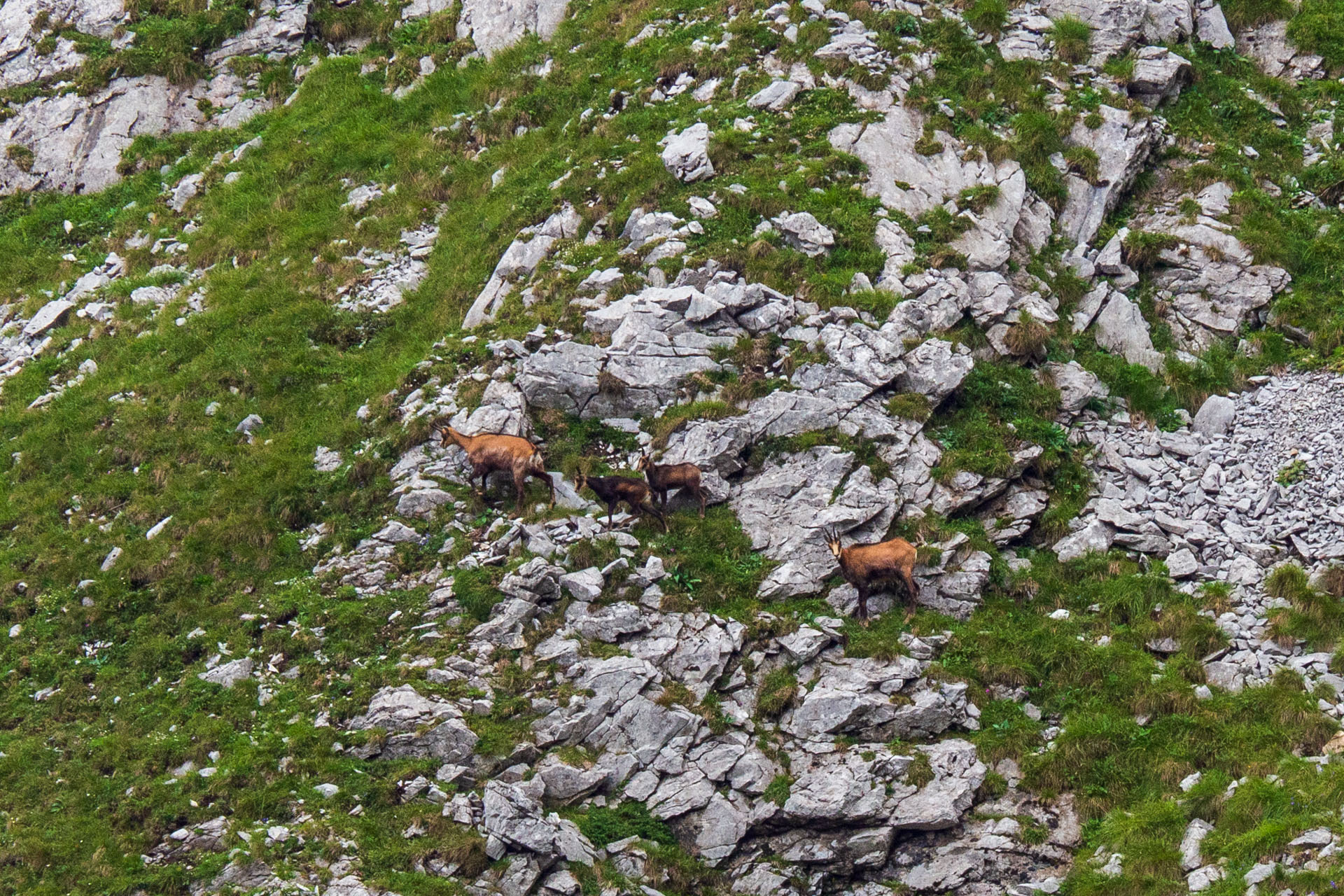 Małołączniak a Kopa Kondracka z Kiry (Západné Tatry)