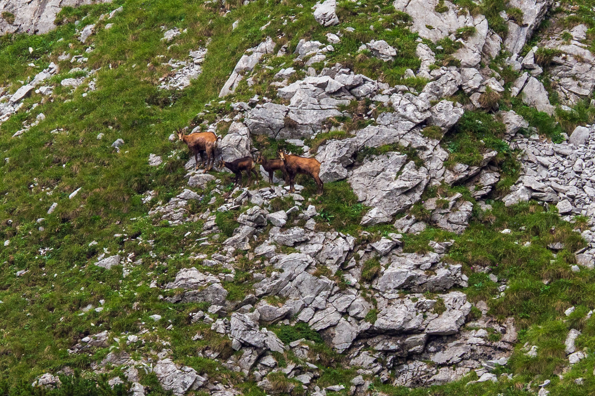 Małołączniak a Kopa Kondracka z Kiry (Západné Tatry)