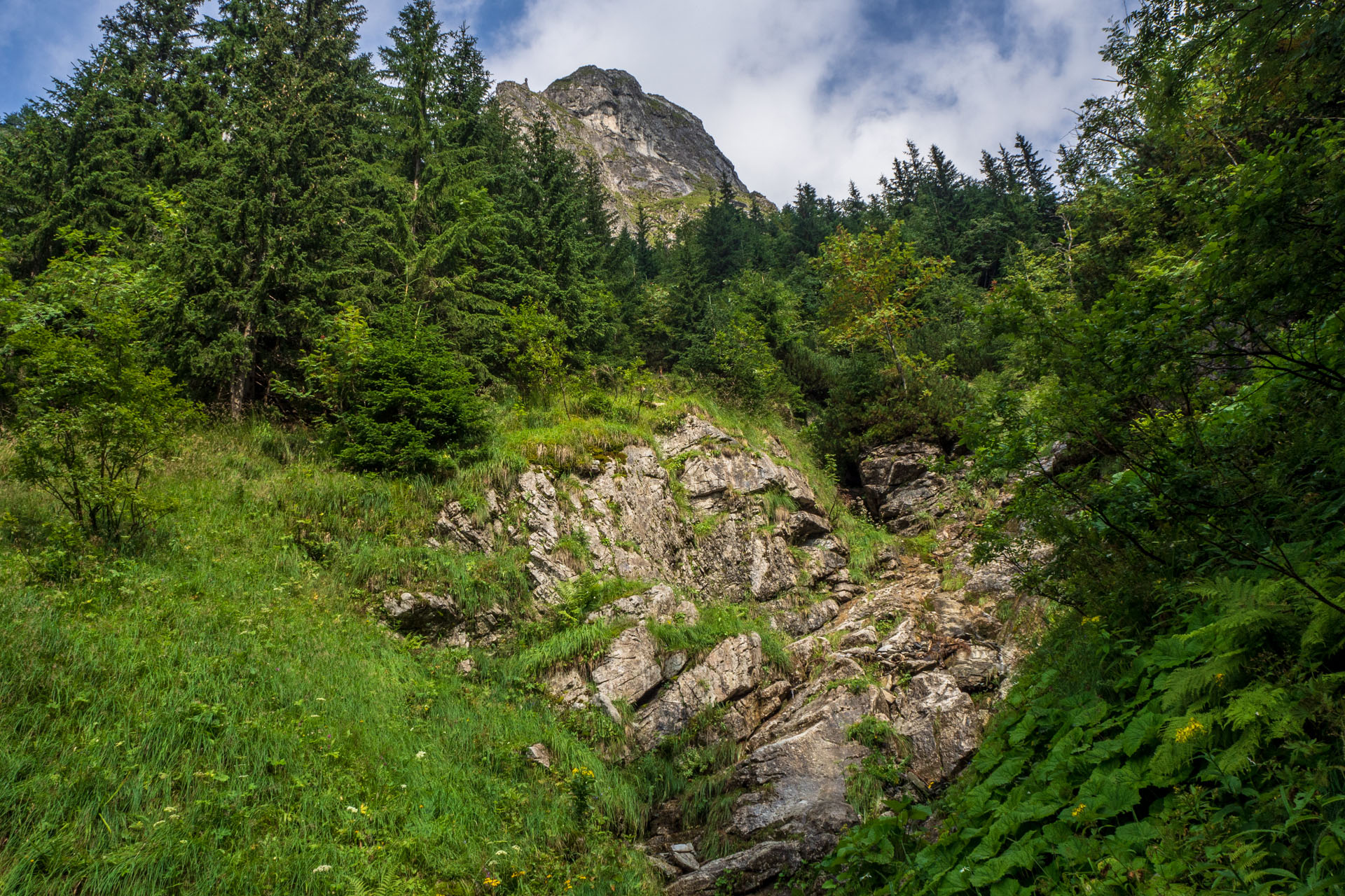 Małołączniak a Kopa Kondracka z Kiry (Západné Tatry)