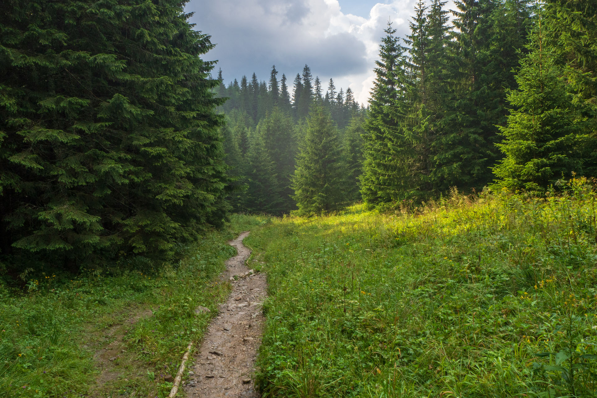 Małołączniak a Kopa Kondracka z Kiry (Západné Tatry)