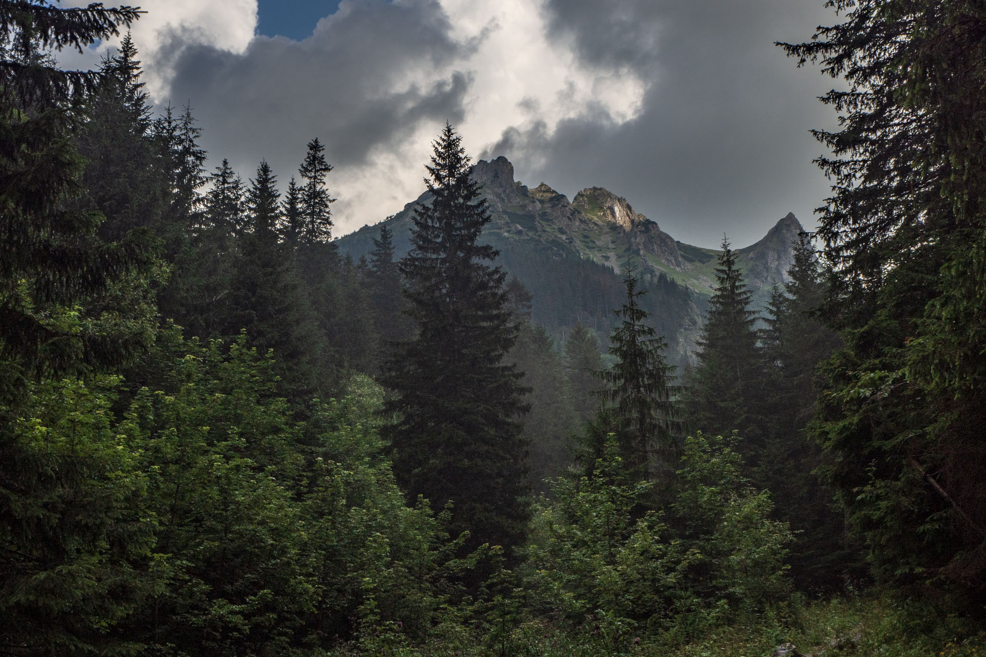 Małołączniak a Kopa Kondracka z Kiry (Západné Tatry)