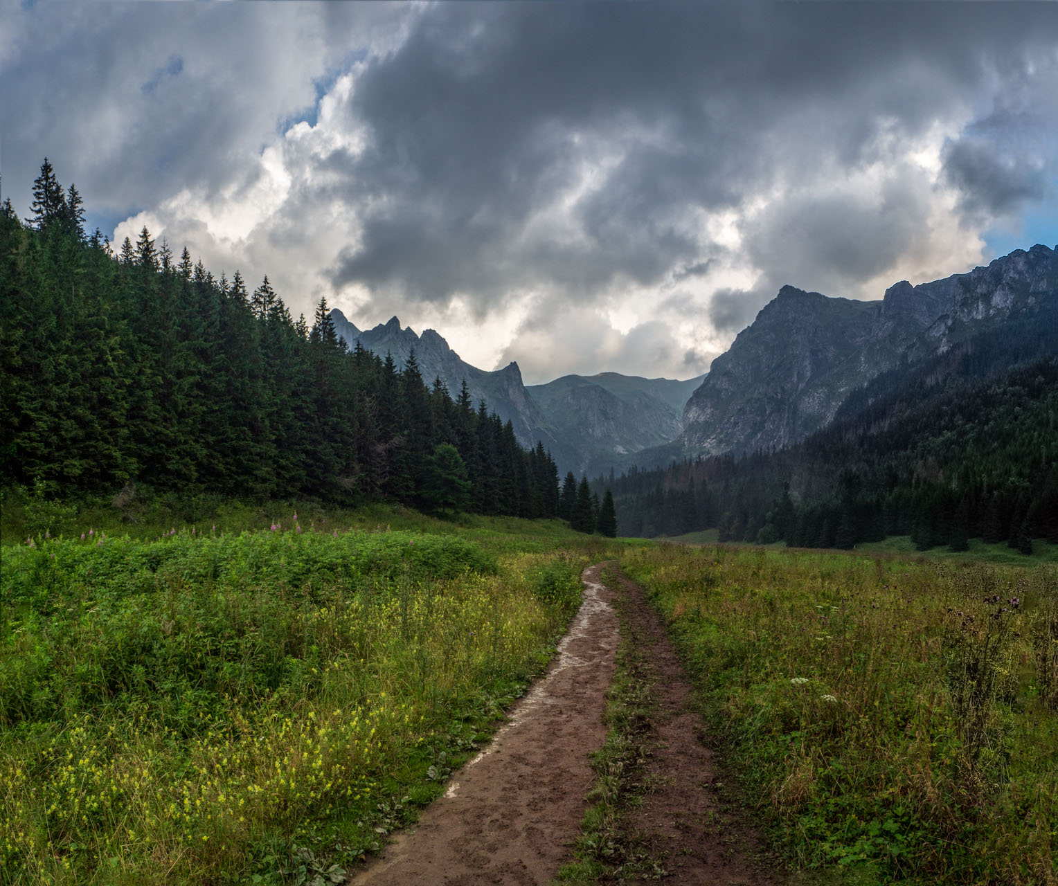 Małołączniak a Kopa Kondracka z Kiry (Západné Tatry)