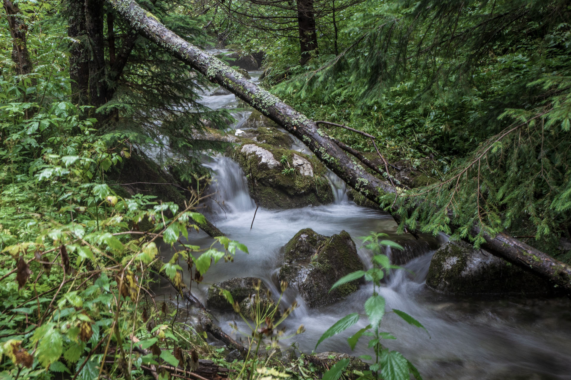 Małołączniak a Kopa Kondracka z Kiry (Západné Tatry)