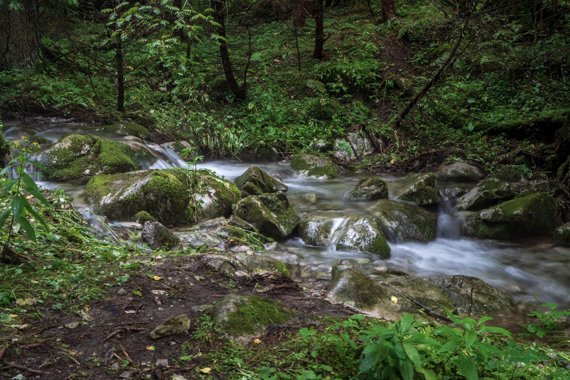 Małołączniak a Kopa Kondracka z Kiry (Západné Tatry)