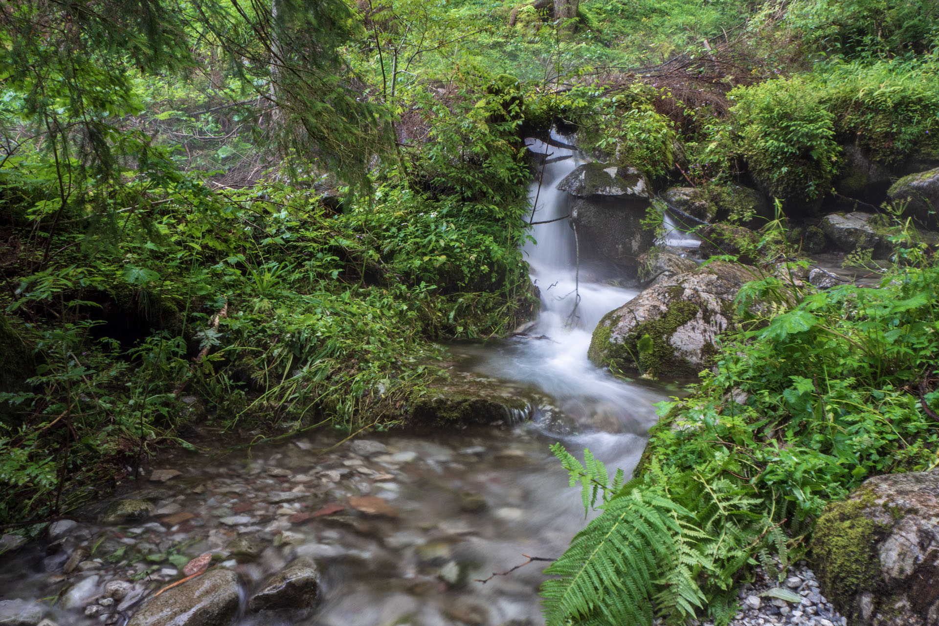 Małołączniak a Kopa Kondracka z Kiry (Západné Tatry)