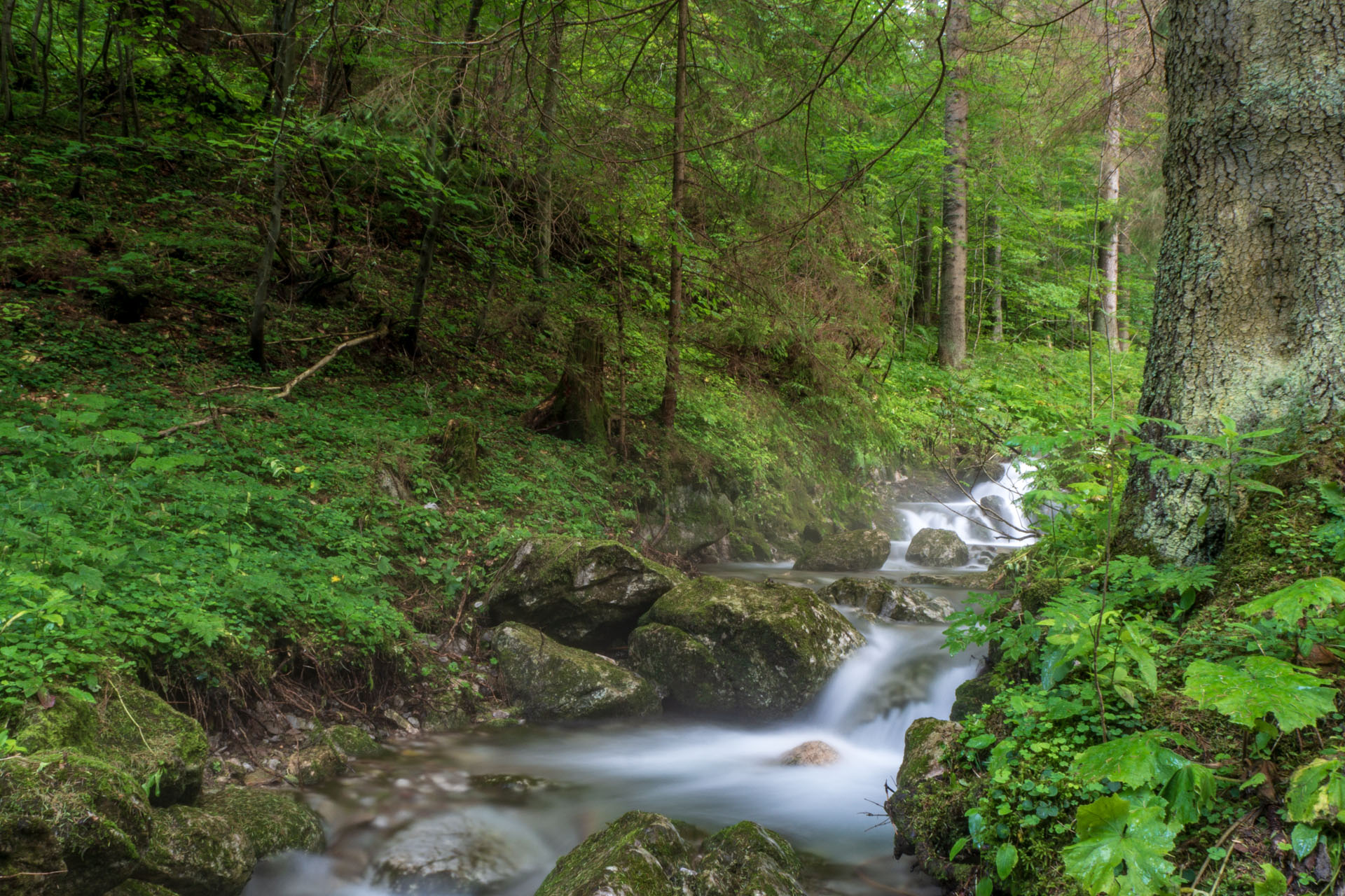 Małołączniak a Kopa Kondracka z Kiry (Západné Tatry)