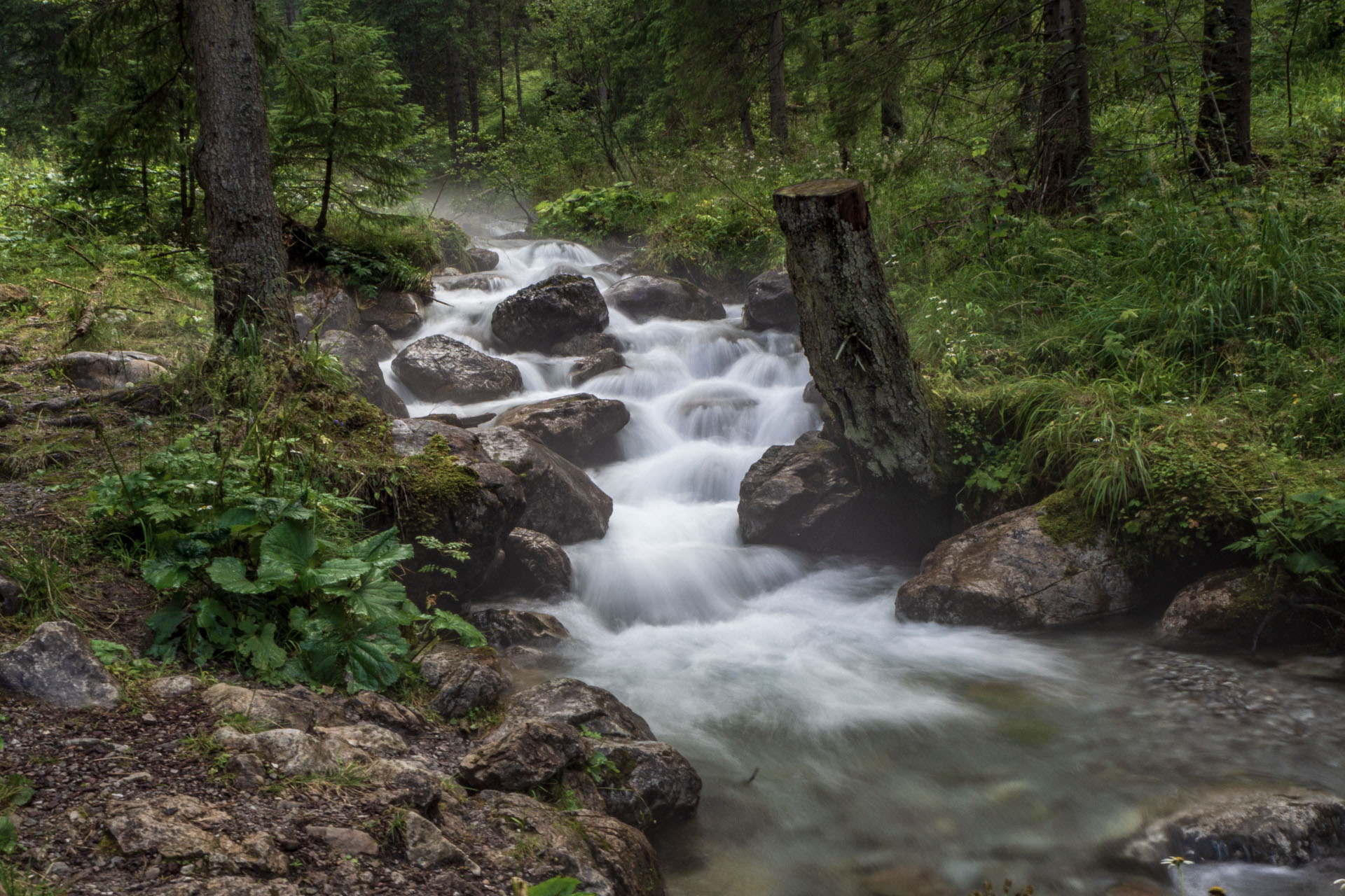 Małołączniak a Kopa Kondracka z Kiry (Západné Tatry)